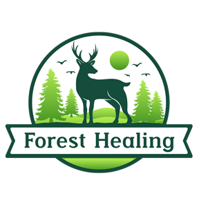 Forest Healing