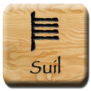 suil.png