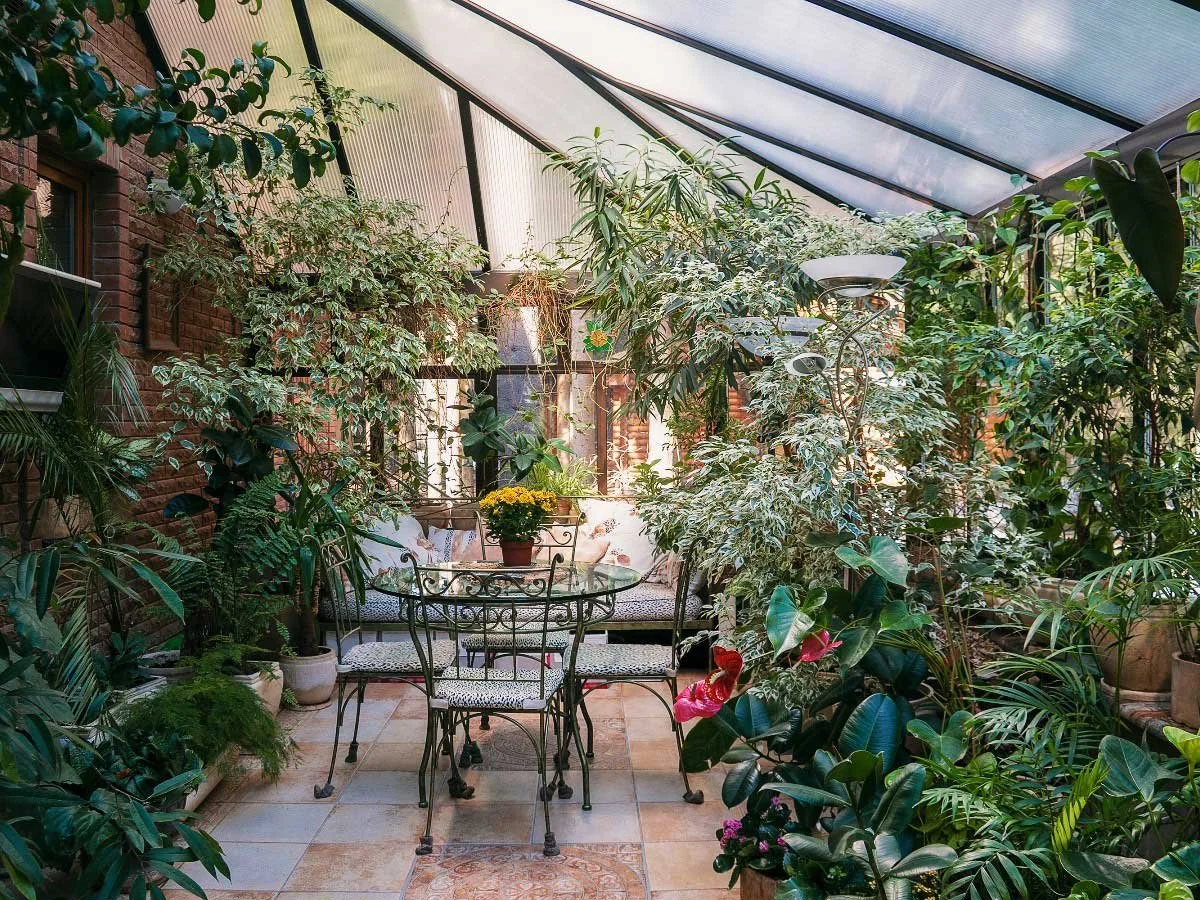 A conservatory full of greenery
