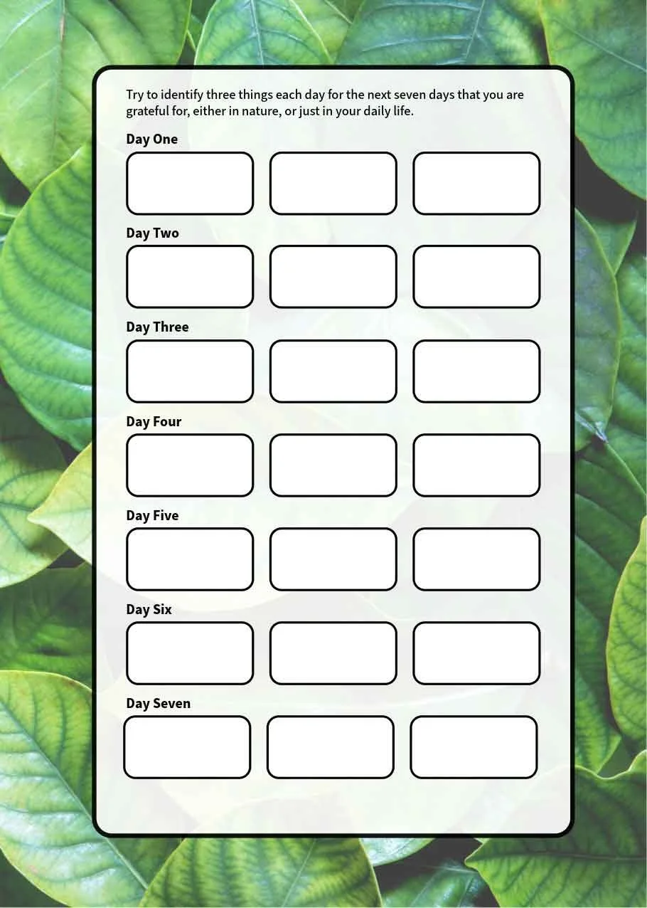 AoD-Recovery-Workbook-48-Gratitude-Right-Page.jpg