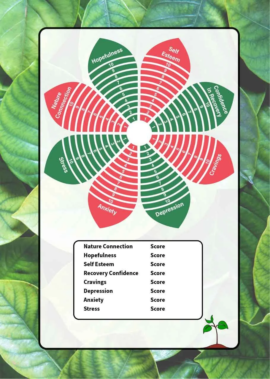 AoD-Recovery-Workbook-20-Wellbeing-Wheel-Cont.-R.jpg