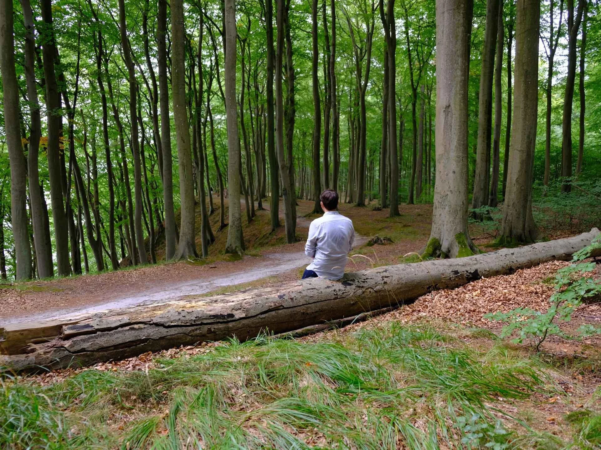 A man sitting mindfully in a forest