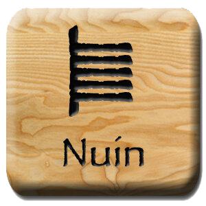 nuin.png