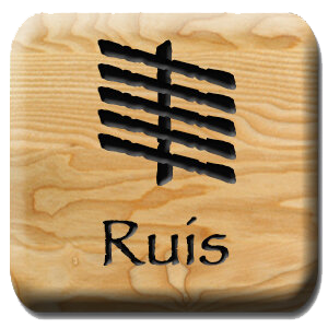 ruis.png