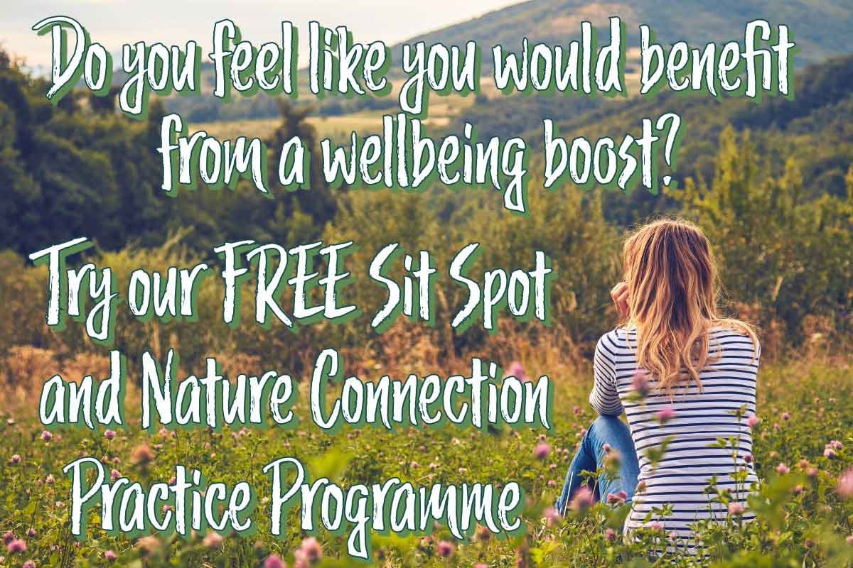 The Health Benefits of Walking in Nature — An Darach Forest Therapy