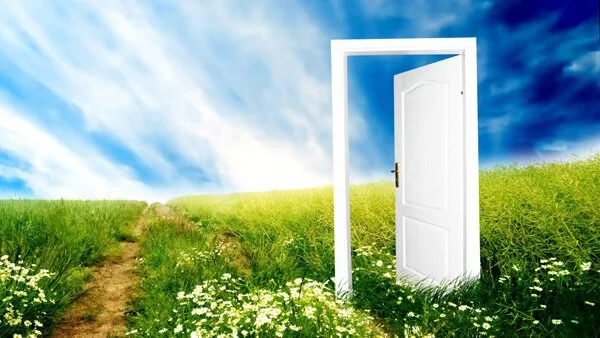 An open door in a field of wild flowers