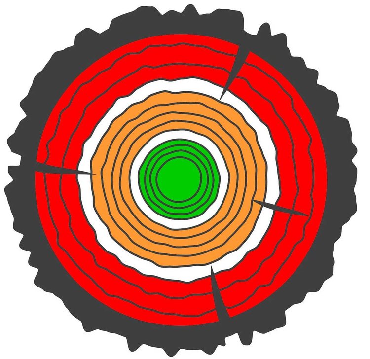 The Comfort Zone, Stretch Zone, and Panic Zone — Forest Healing