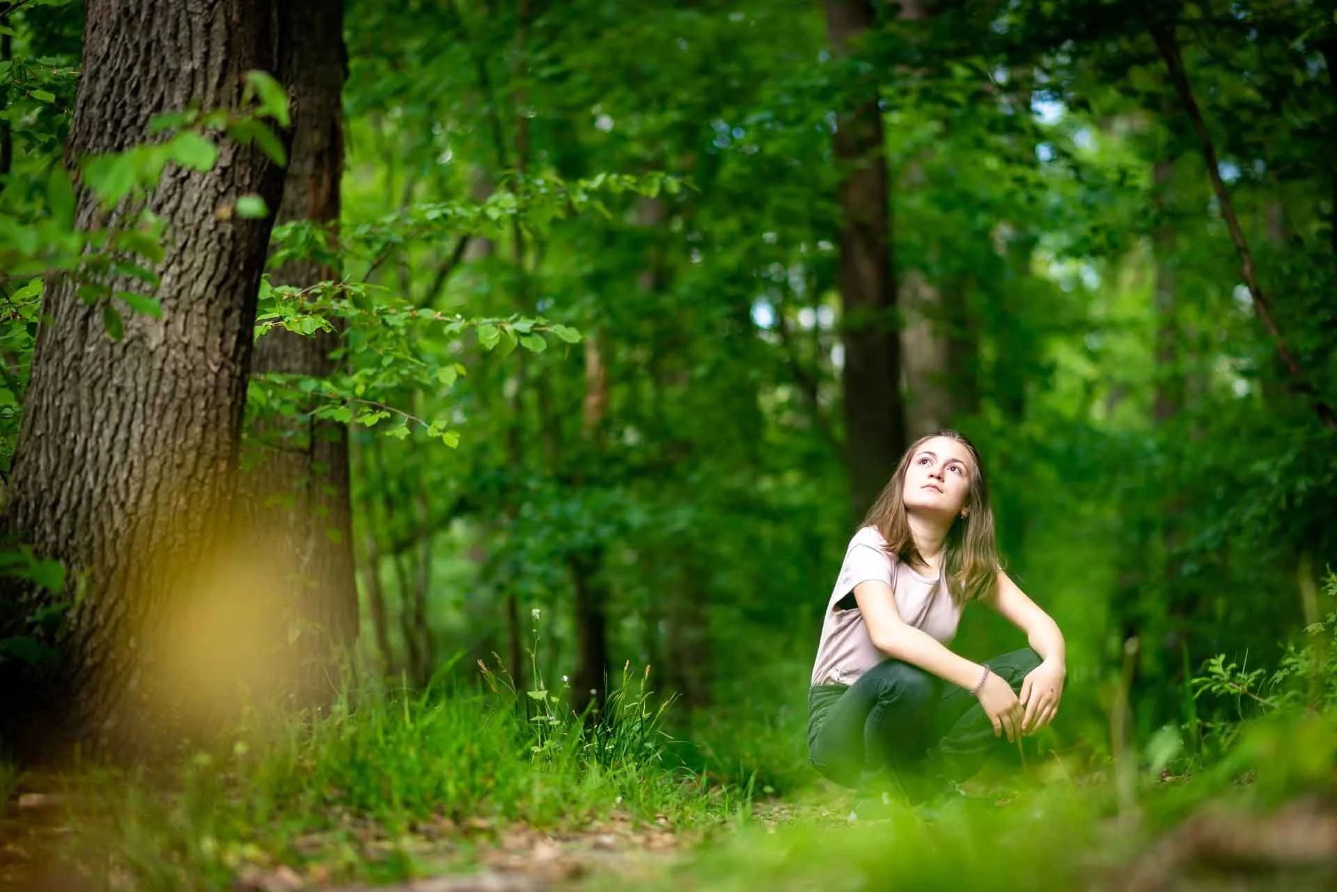 An A to Z of Forest Bathing