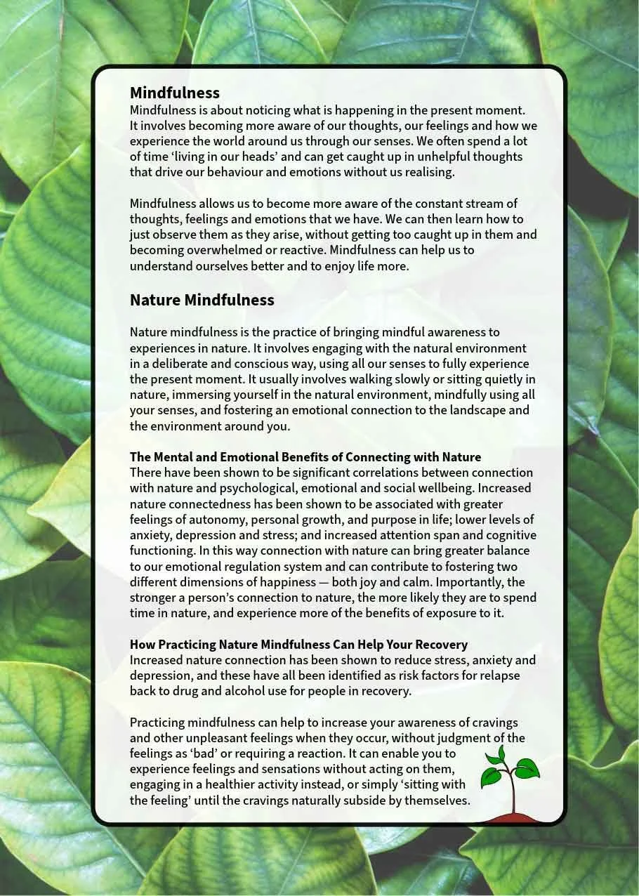 AoD-Recovery-Workbook-4-Key-Concepts-Continued-R.jpg