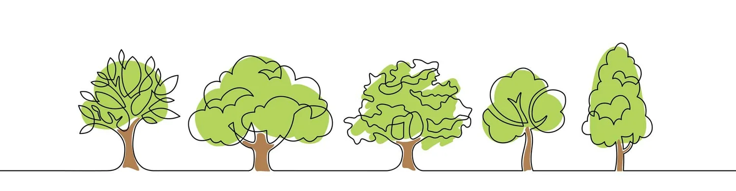 What Does It Mean When Trees ‘Mast’? — Forest Healing