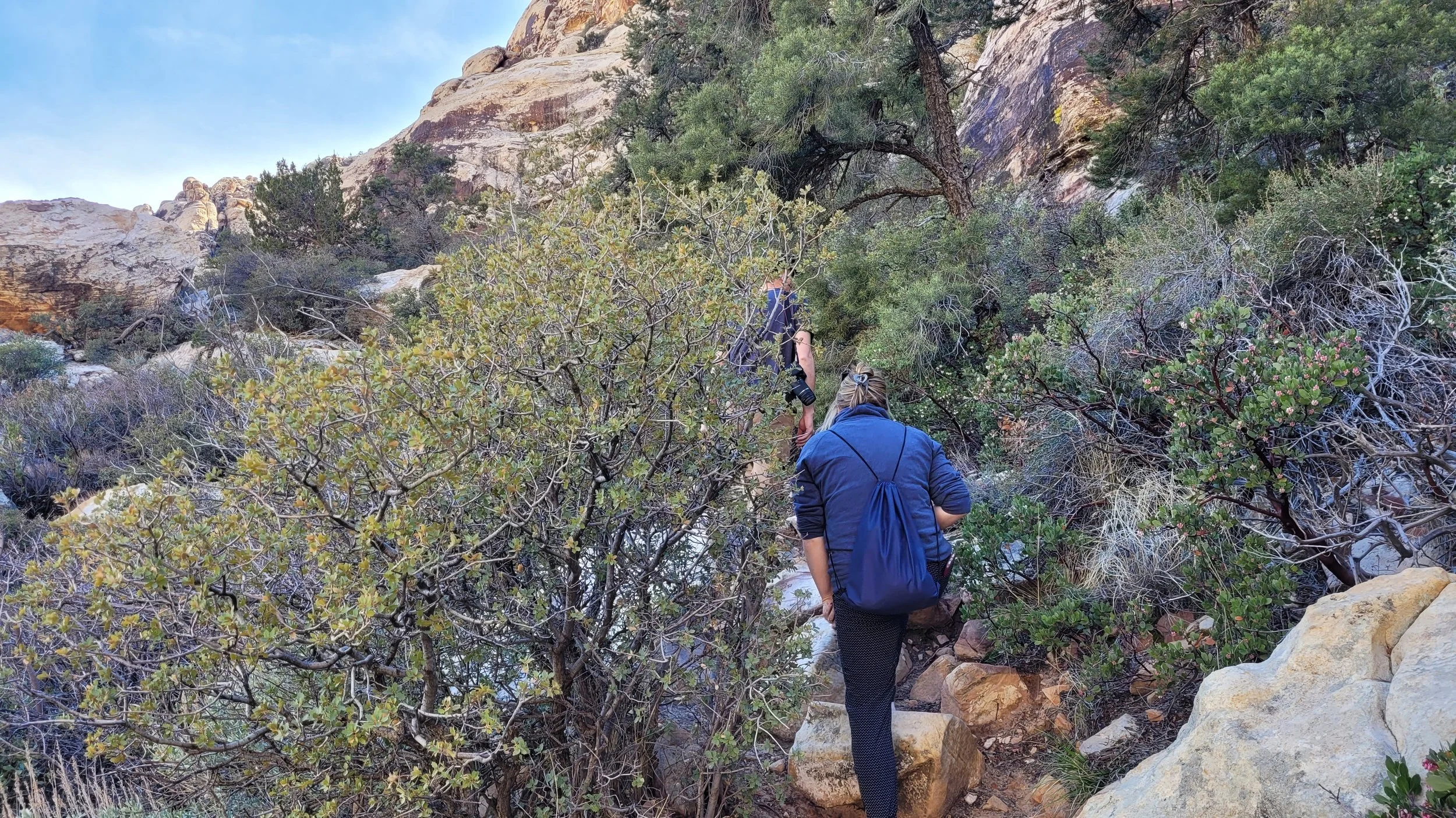 2023-04-01 18.54.04.jpg