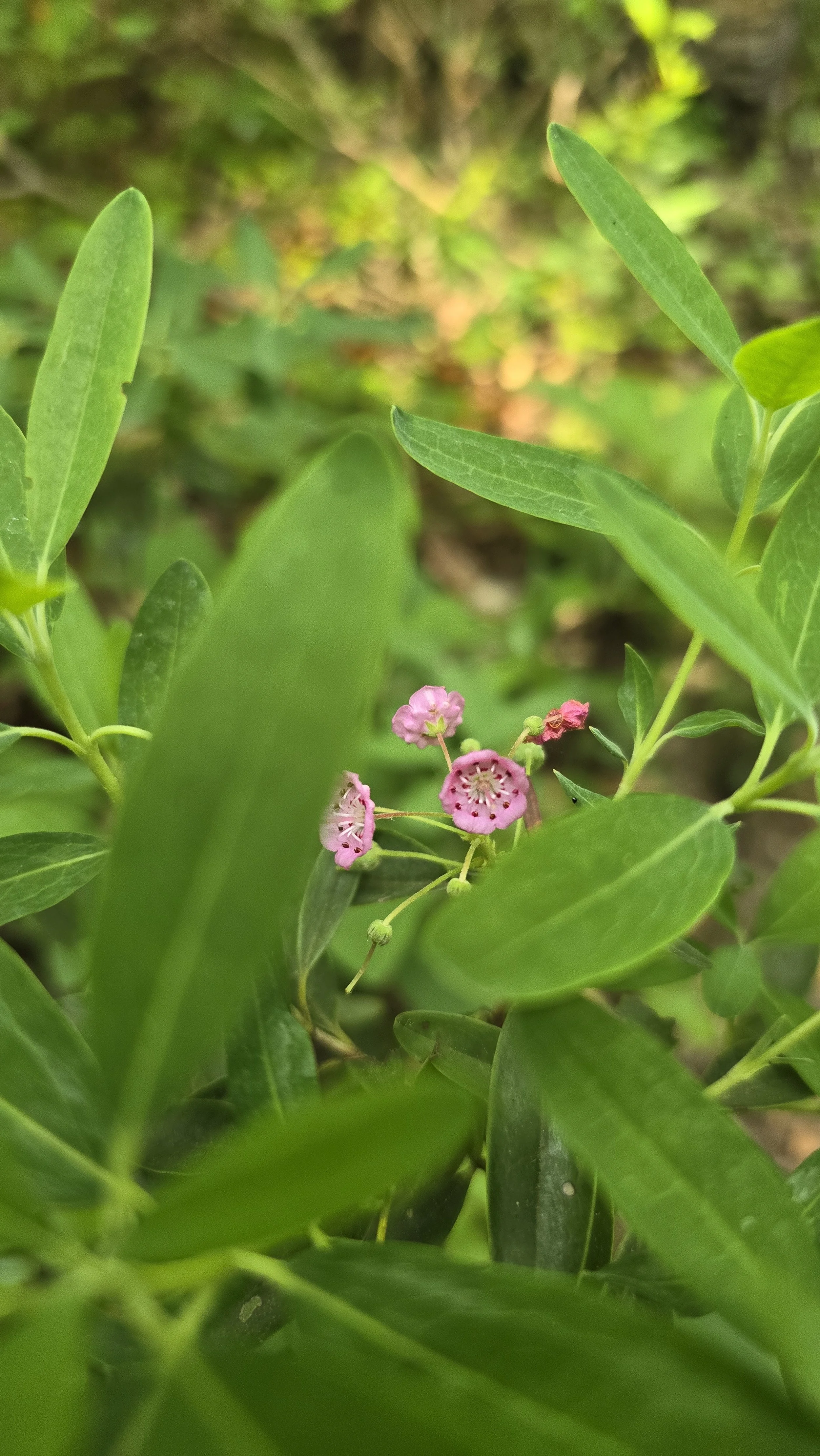 2024-06-19 18.07.19.jpg