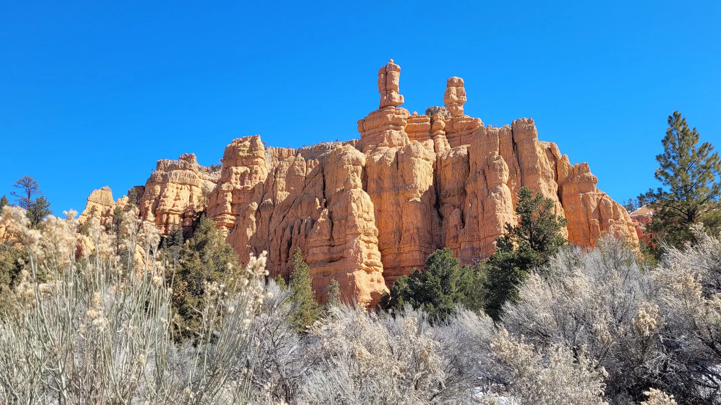 2023-04-02 13.21.35.jpg