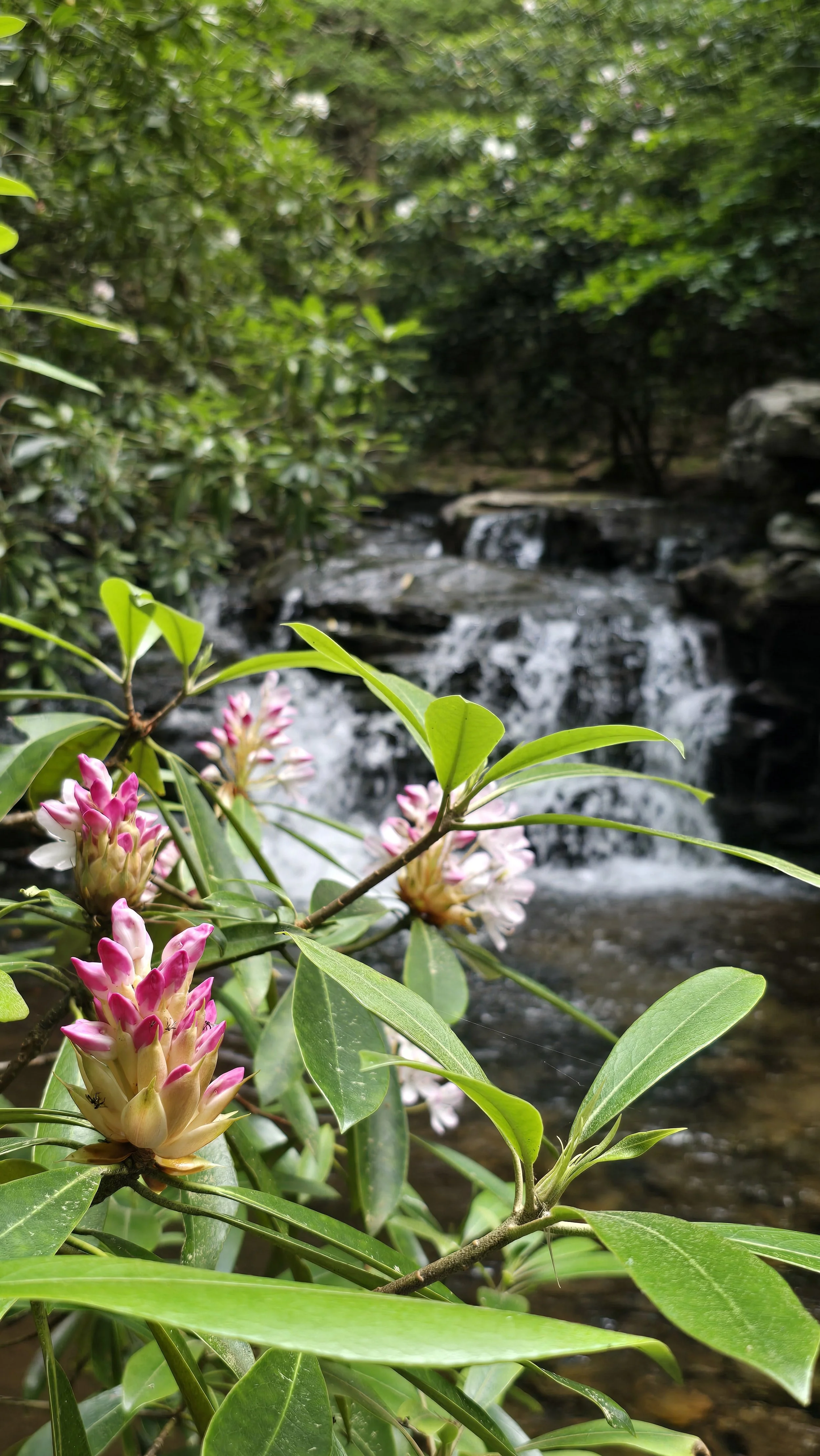 2024-07-03 16.45.23.jpg