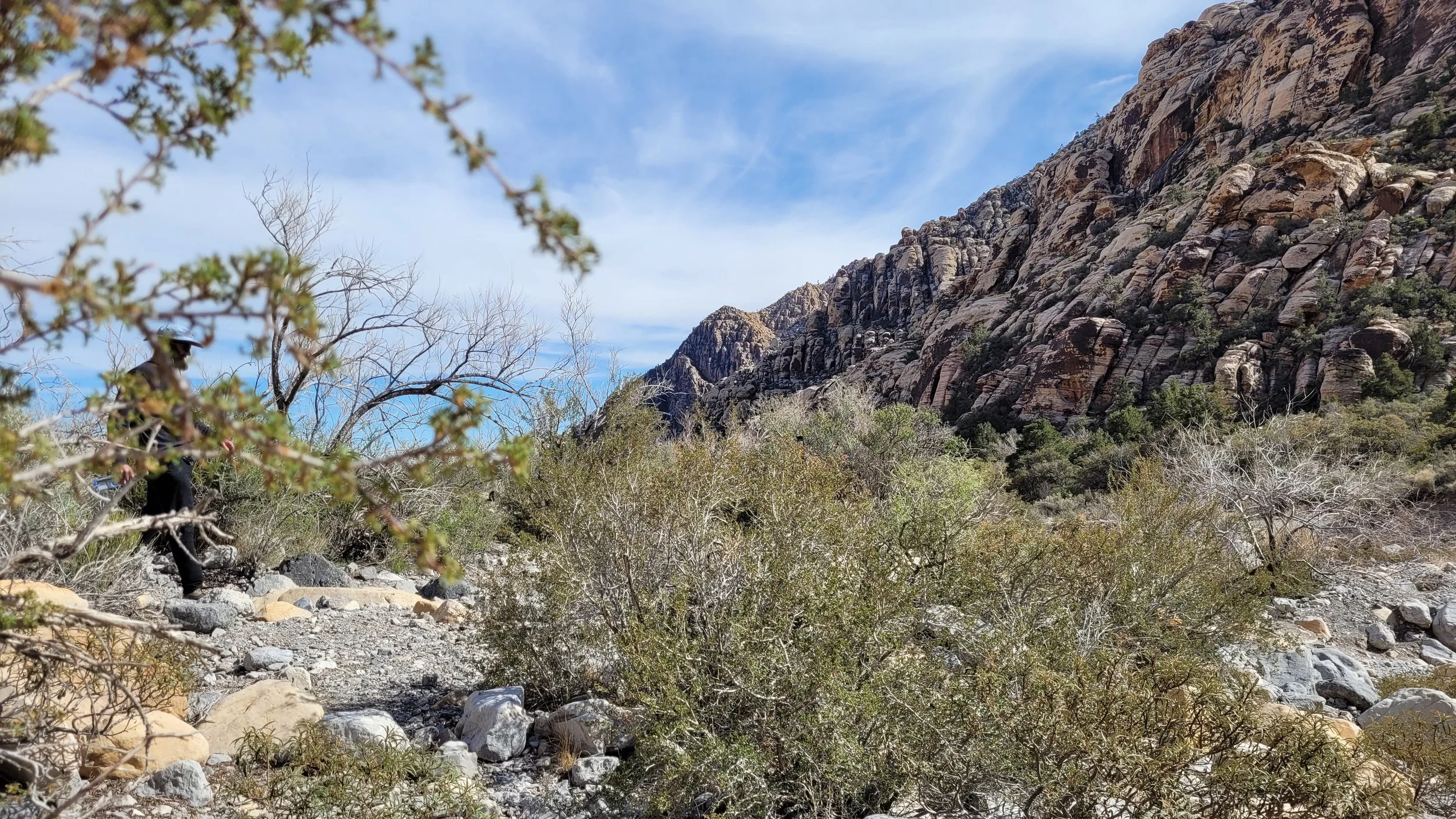 2023-04-01 18.31.55.jpg