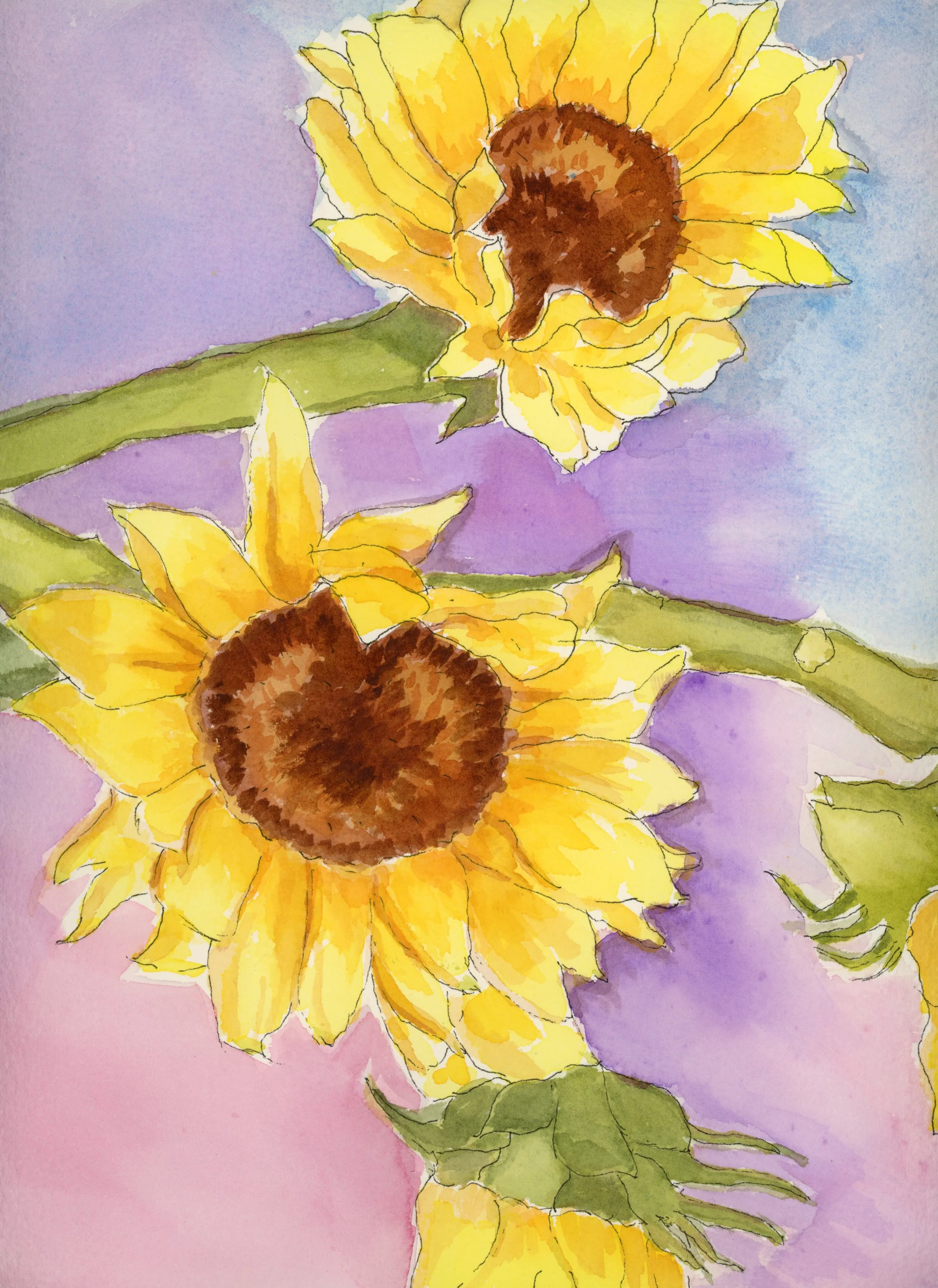 Sunflowers, 9x12, watercolor