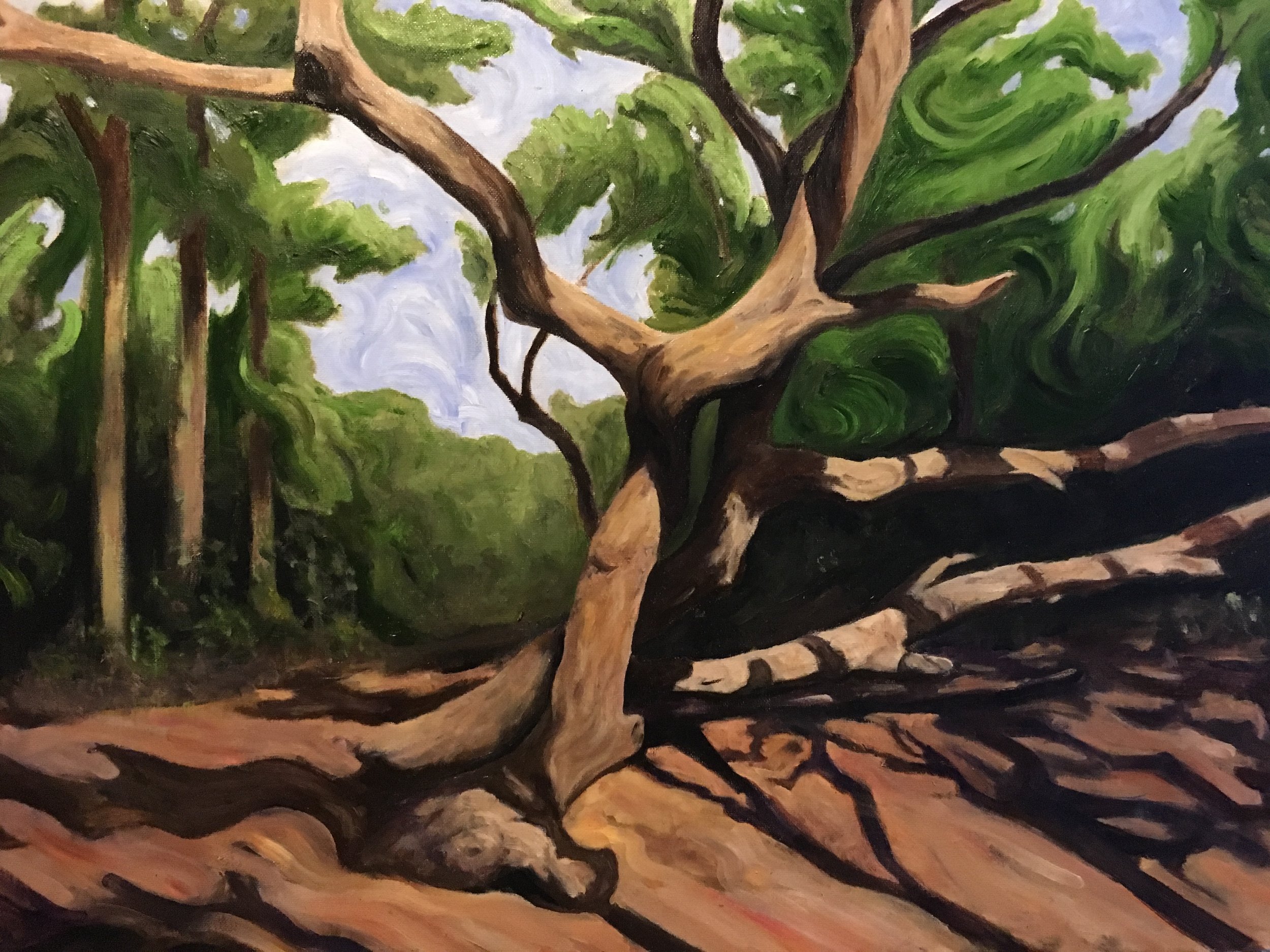 First Landing
20"x16"