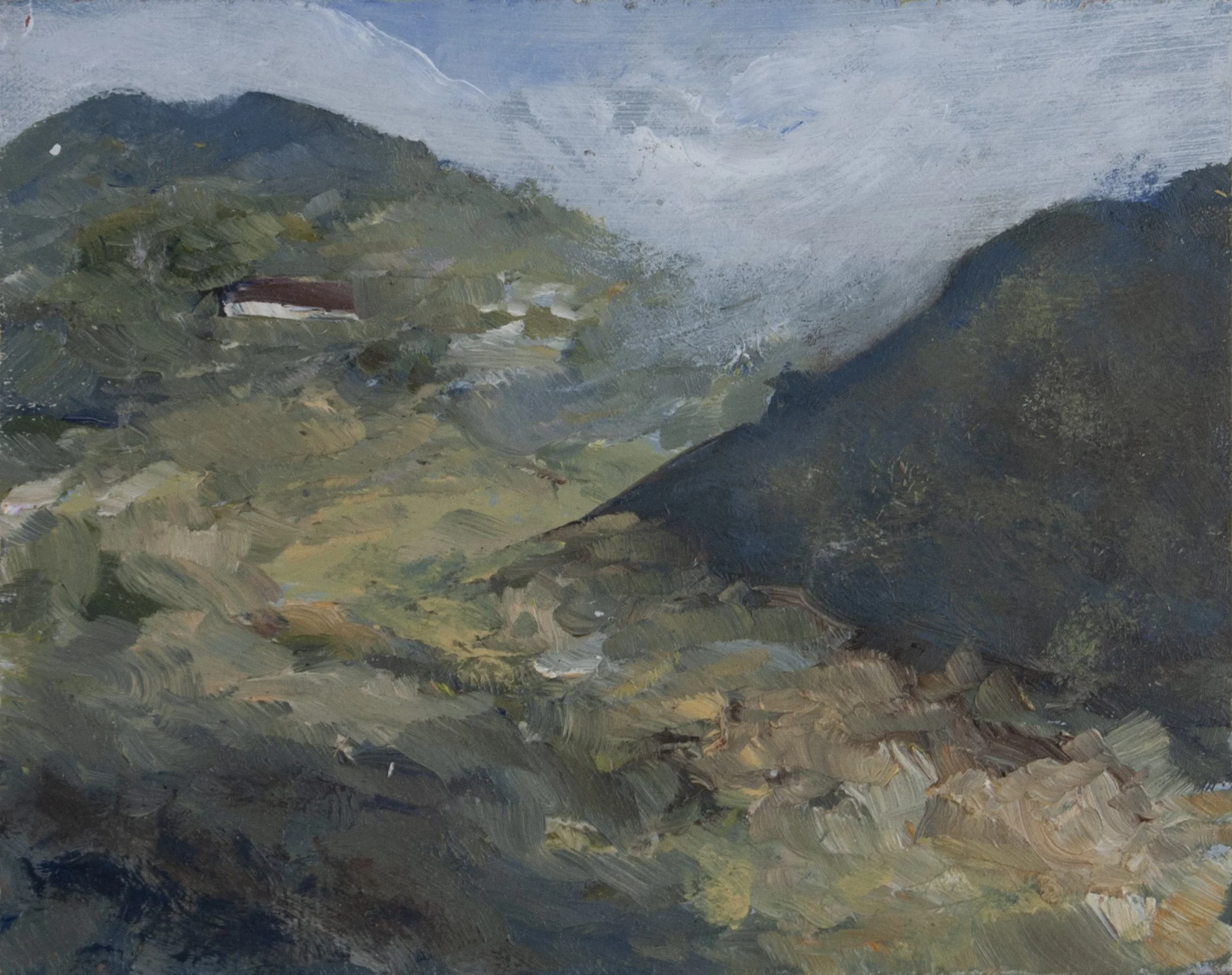 Vinci 3
5"x4" Oil on Panel