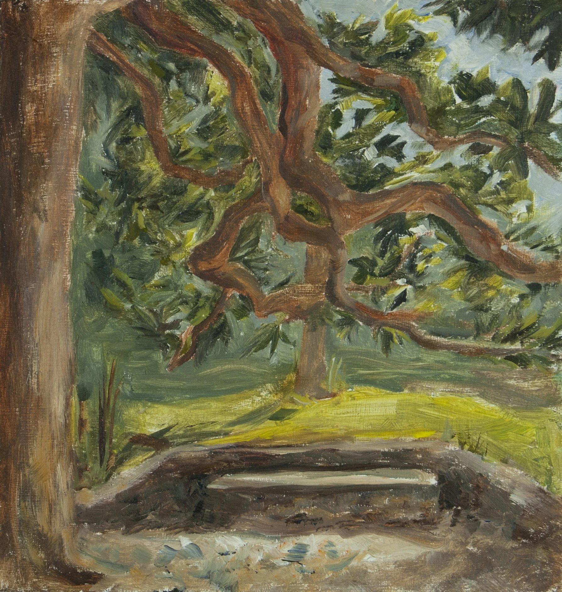 giardino di bobolino.jpg