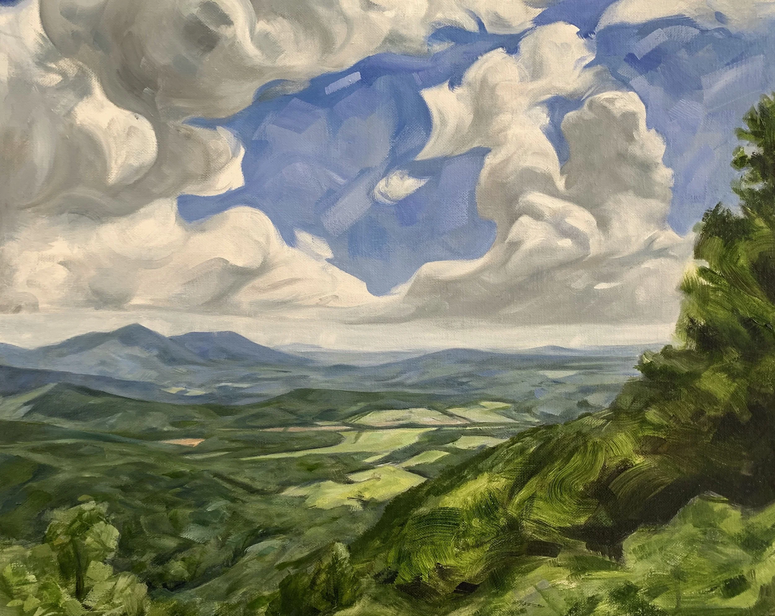 Pine Spur Overlook
20"x16" Oil on Canvas