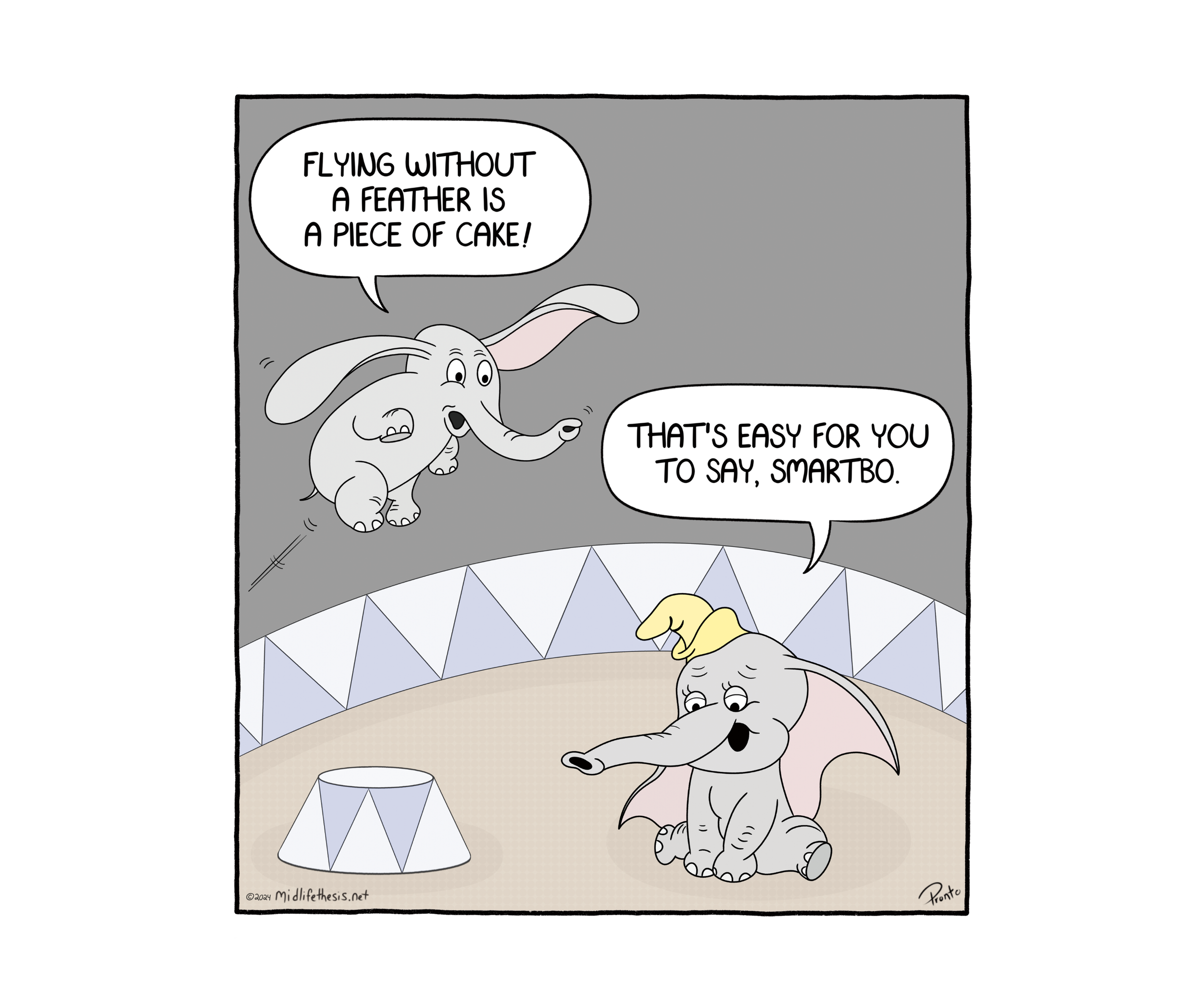 Smartbo_Midlife Thesis_5.24.2024.png