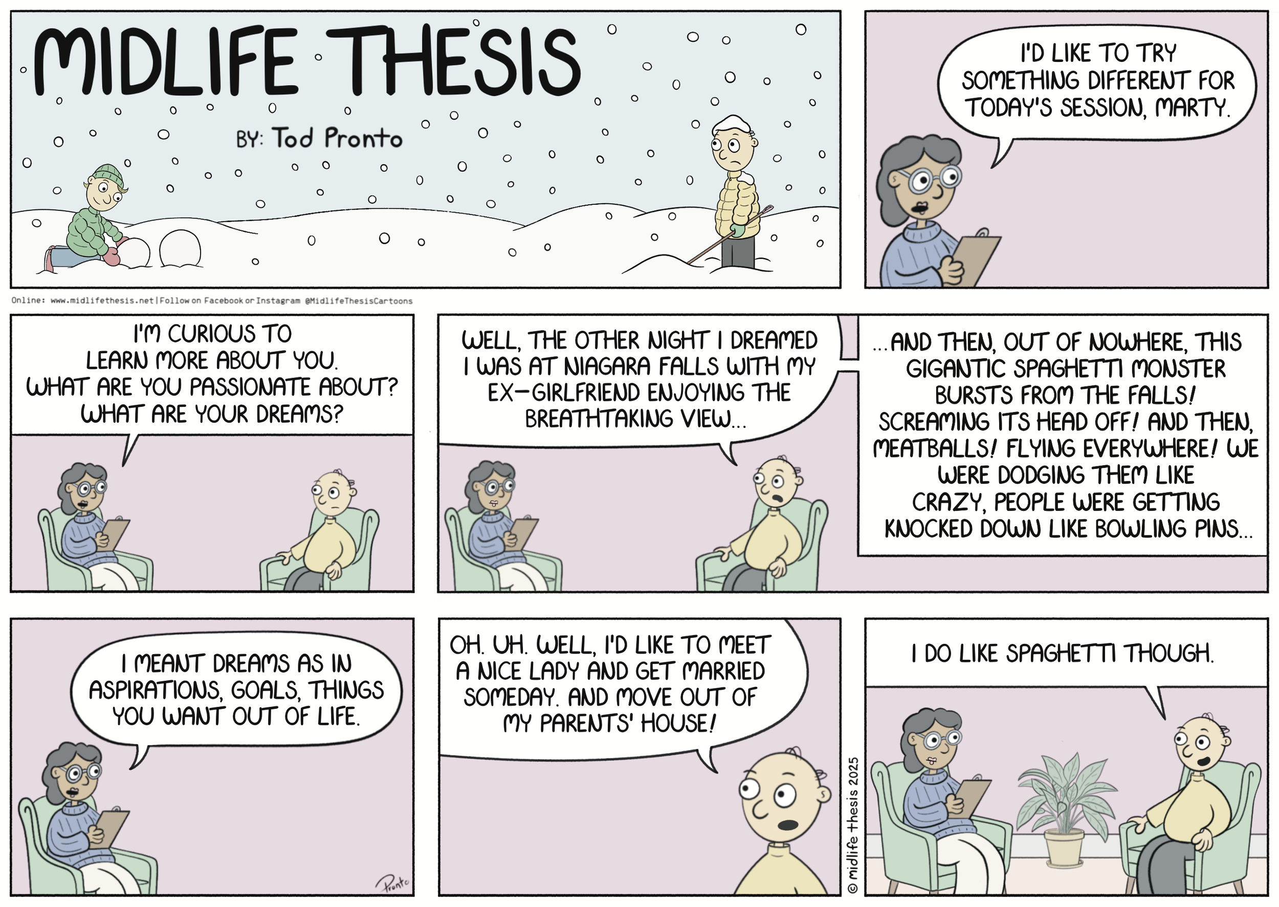 Midlife Thesis_Sunday Strip_2.2.2025.png