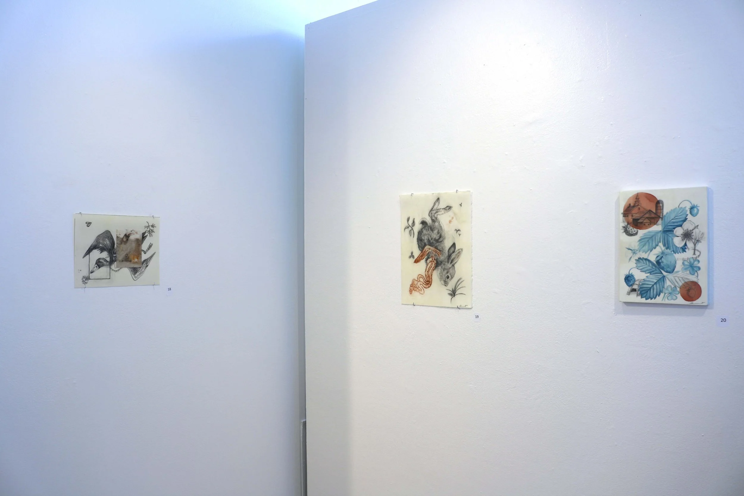 Gallery shot 2.jpg