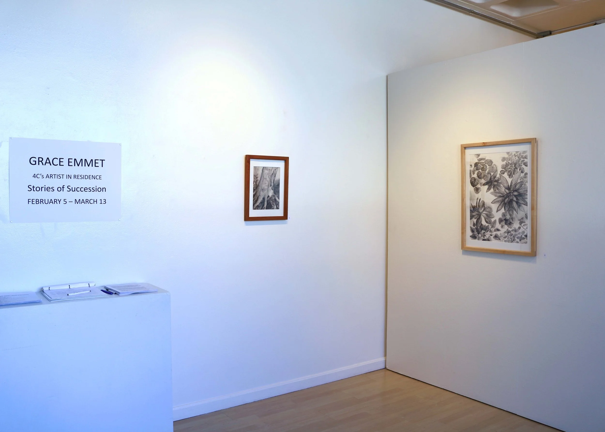 gallery shot4.jpg