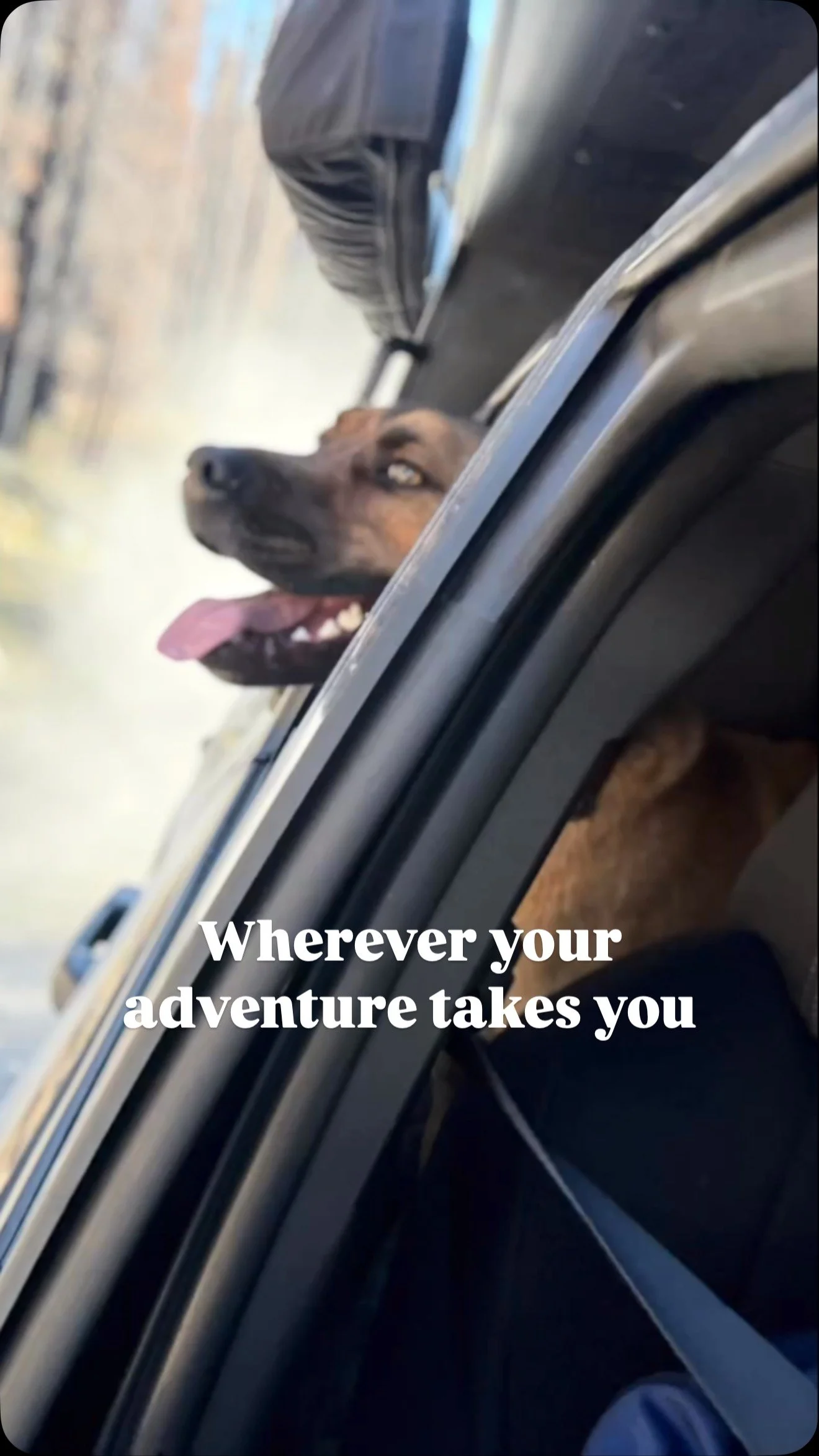 Have you been able to get out and enjoy this amazing region we live? With so many amazing places to explore, make sure to fuel right for the long adventure of life.
