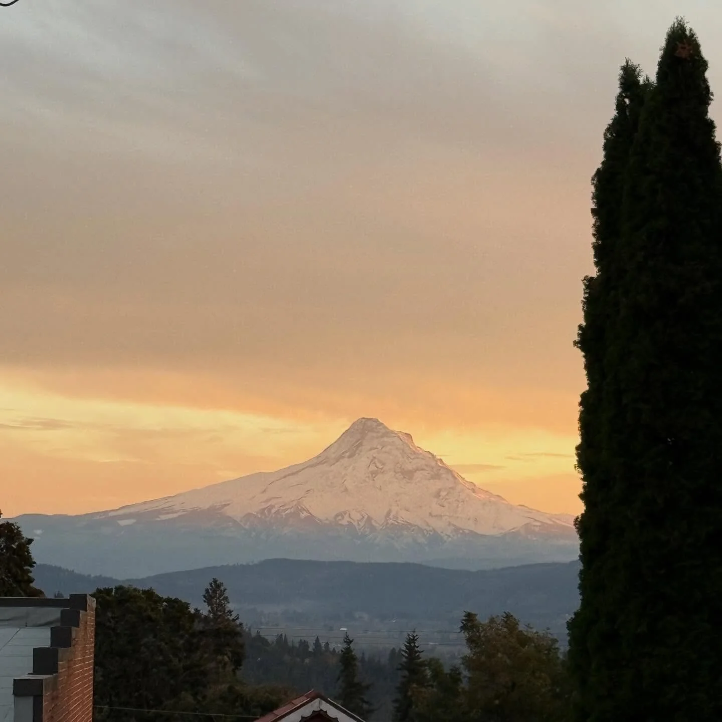 Goodnight Gorge