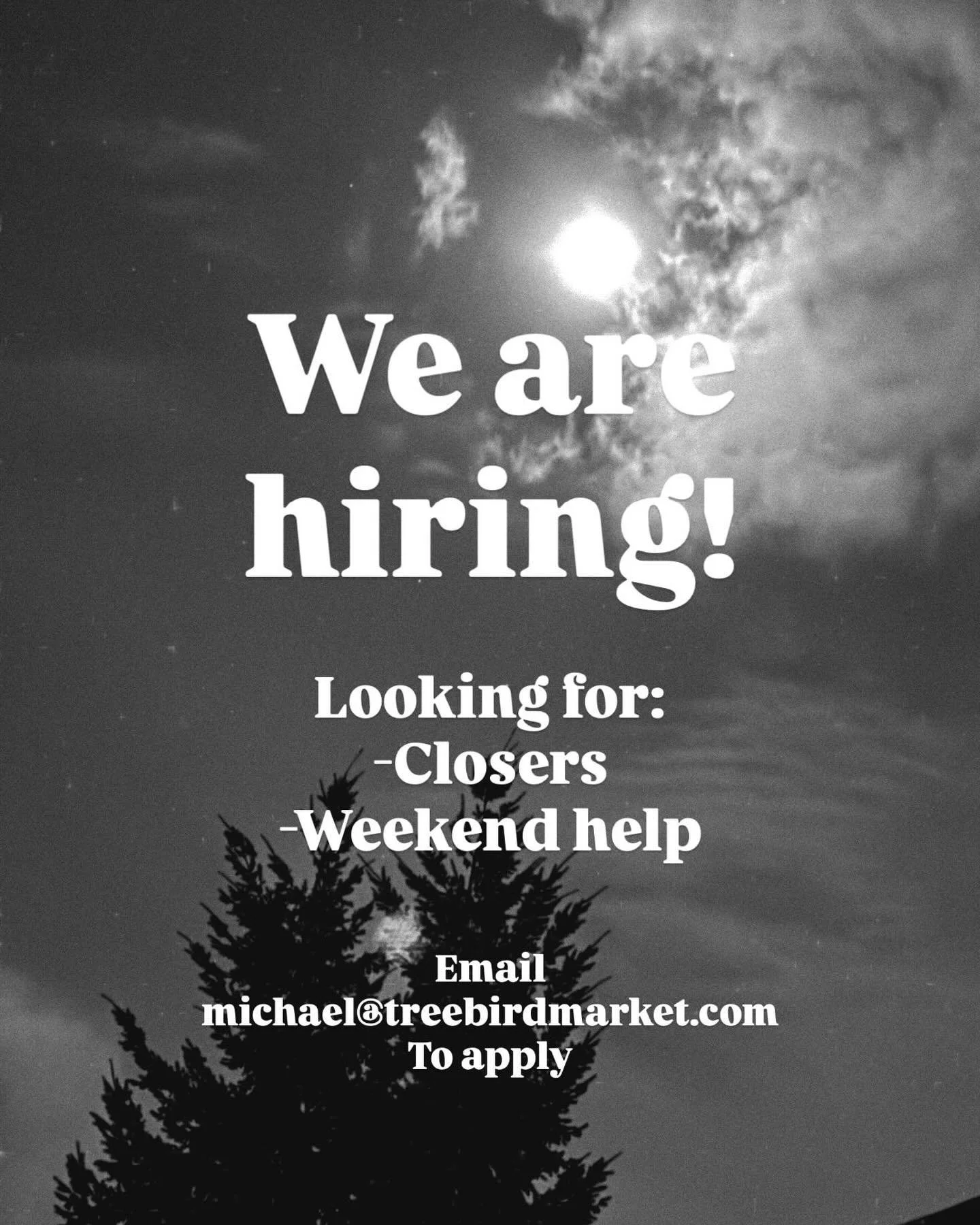 Looking for extra work this winter? We have a few openings now that could lead into more full time work by spring.

Come join our team and serve our community!

Email michael@treebirdmarket.com with a resume and references to apply.