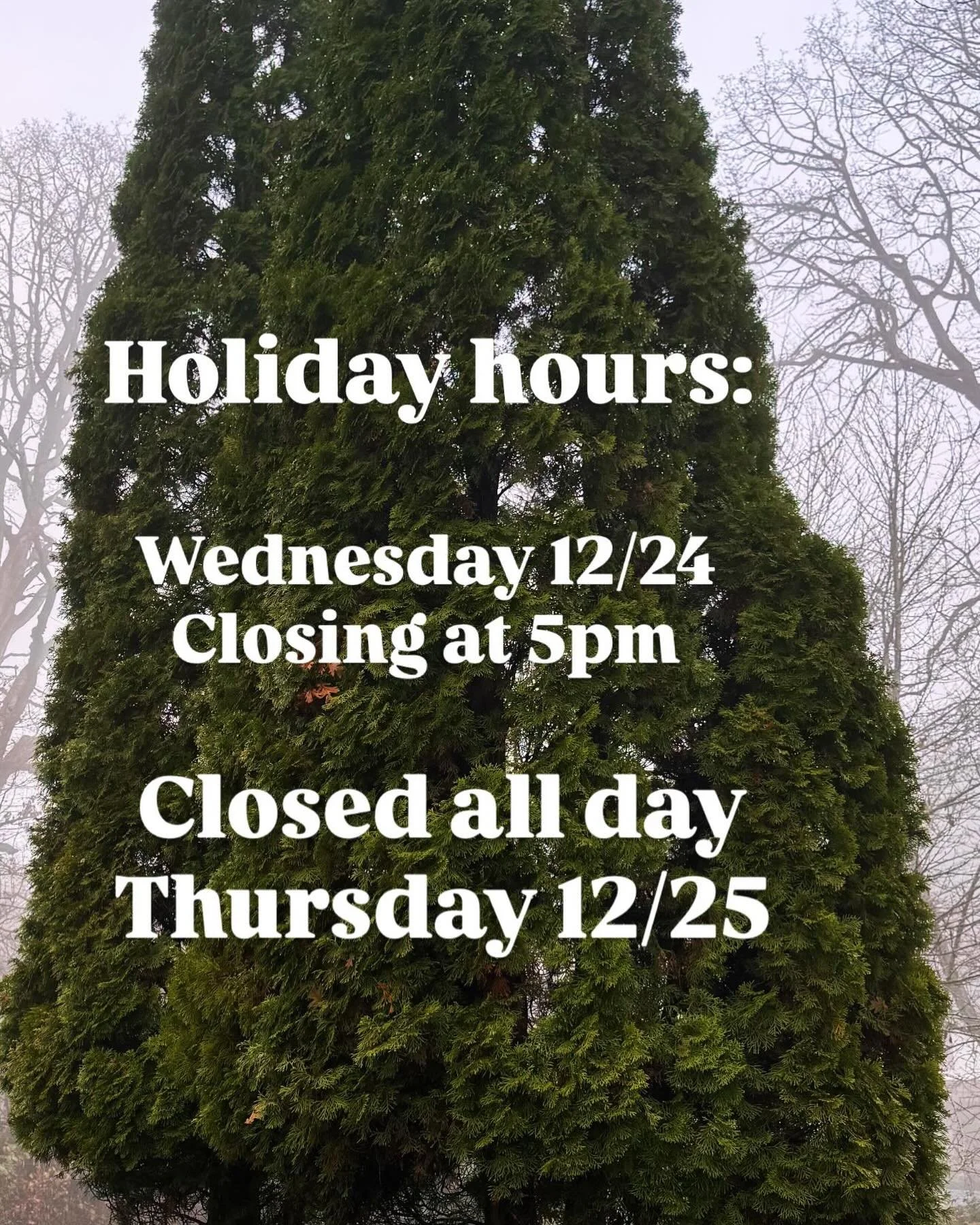 So that our team can get some down time with their loved ones, we will be closing early  at 5pm Christmas Eve, and closed all day on the 25th.

Even the folks on our team who don&rsquo;t celebrate Christmas still enjoy the time off. 🙂

In whatever w