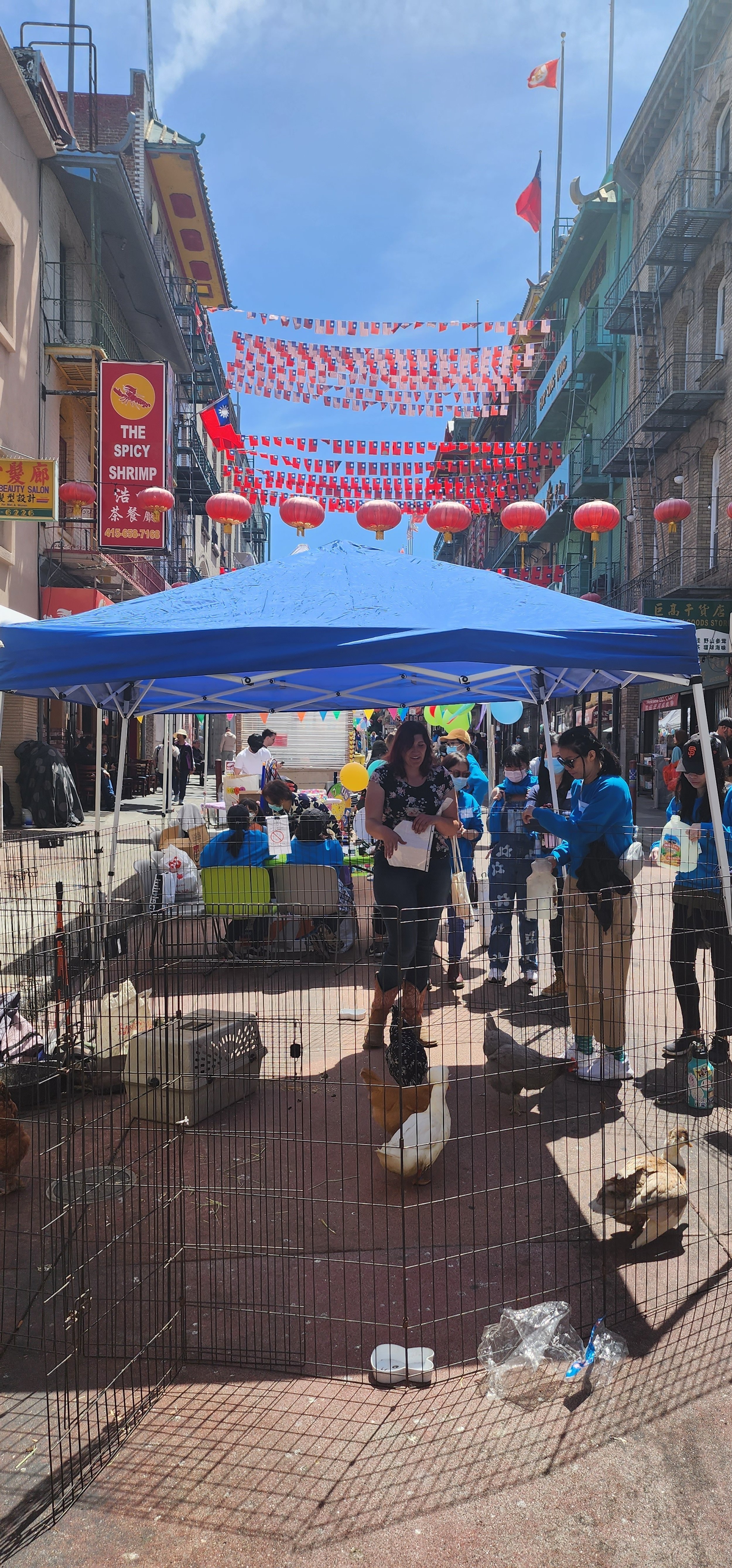 Chinatown+petting+zoo+2.jpg