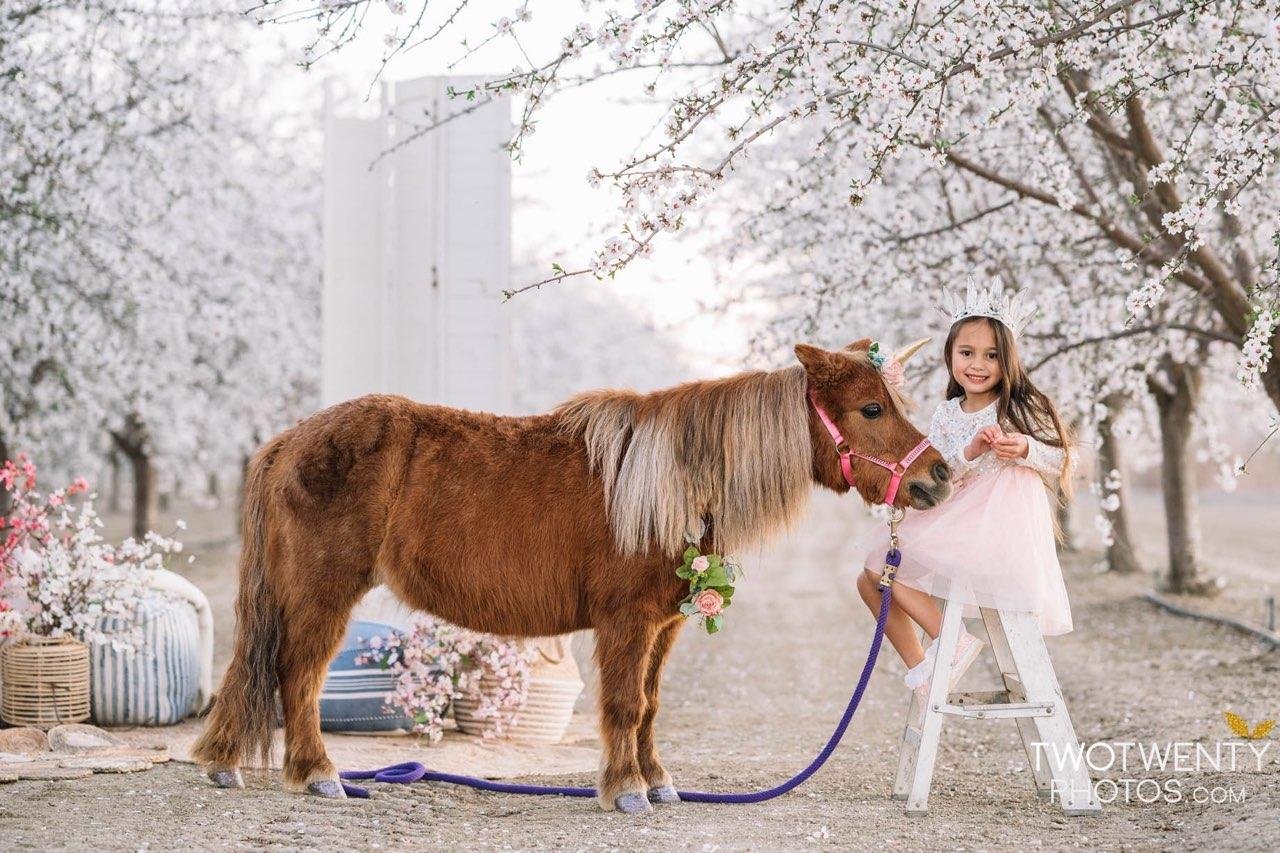 pony 4.jpg