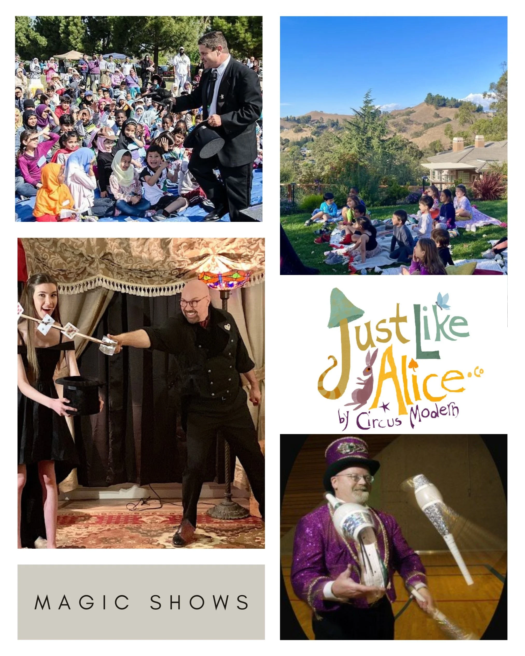 MAGIC SHOW large.jpg