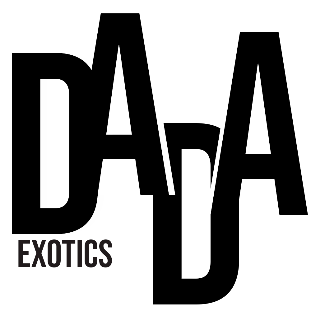 DADA Exotics