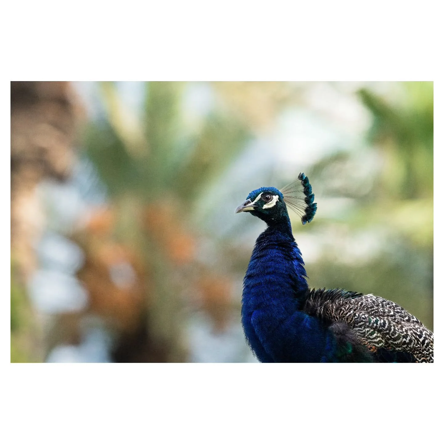 Does consumption of media enhance or inhibit our creative vision? 

I attended a talk by Natgeo Explorer Anand Varma at @visitterra.ae. I'm not someone who typically enjoys these kinds of events because I find them to be a bit generic and repetitive.