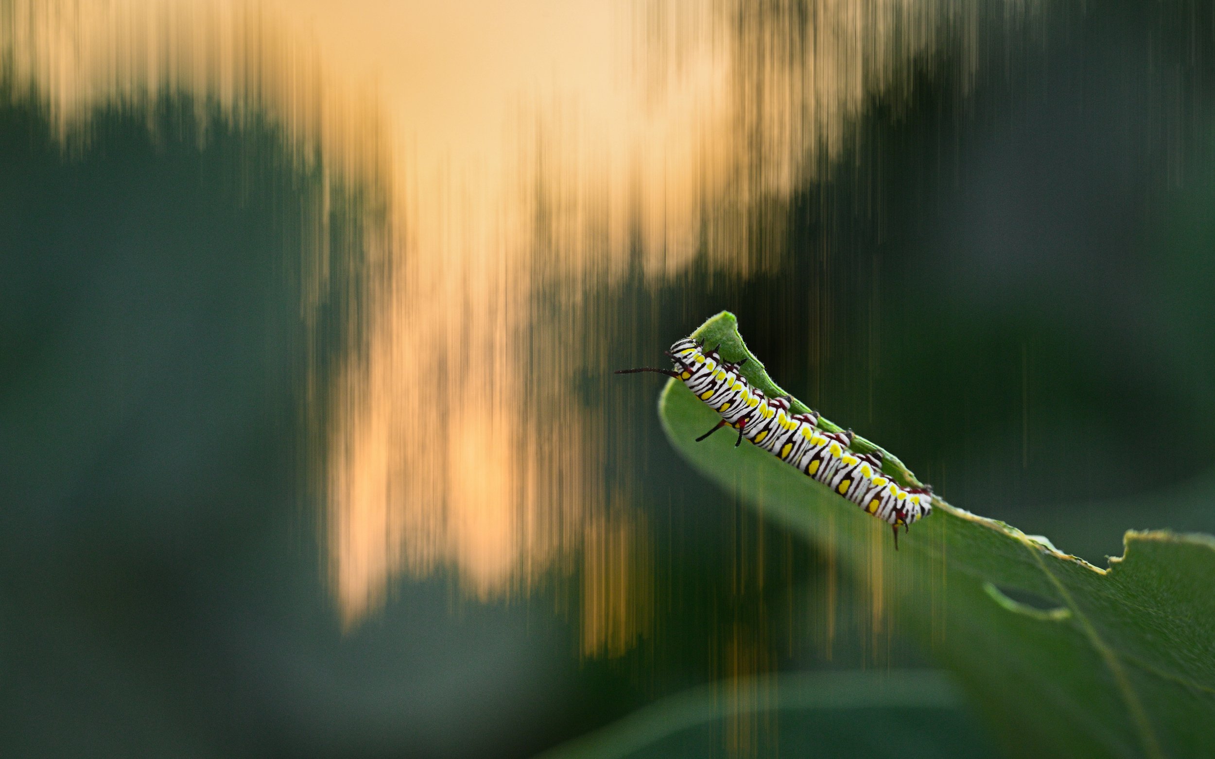 _TNW6739-2 (1) (1).jpg