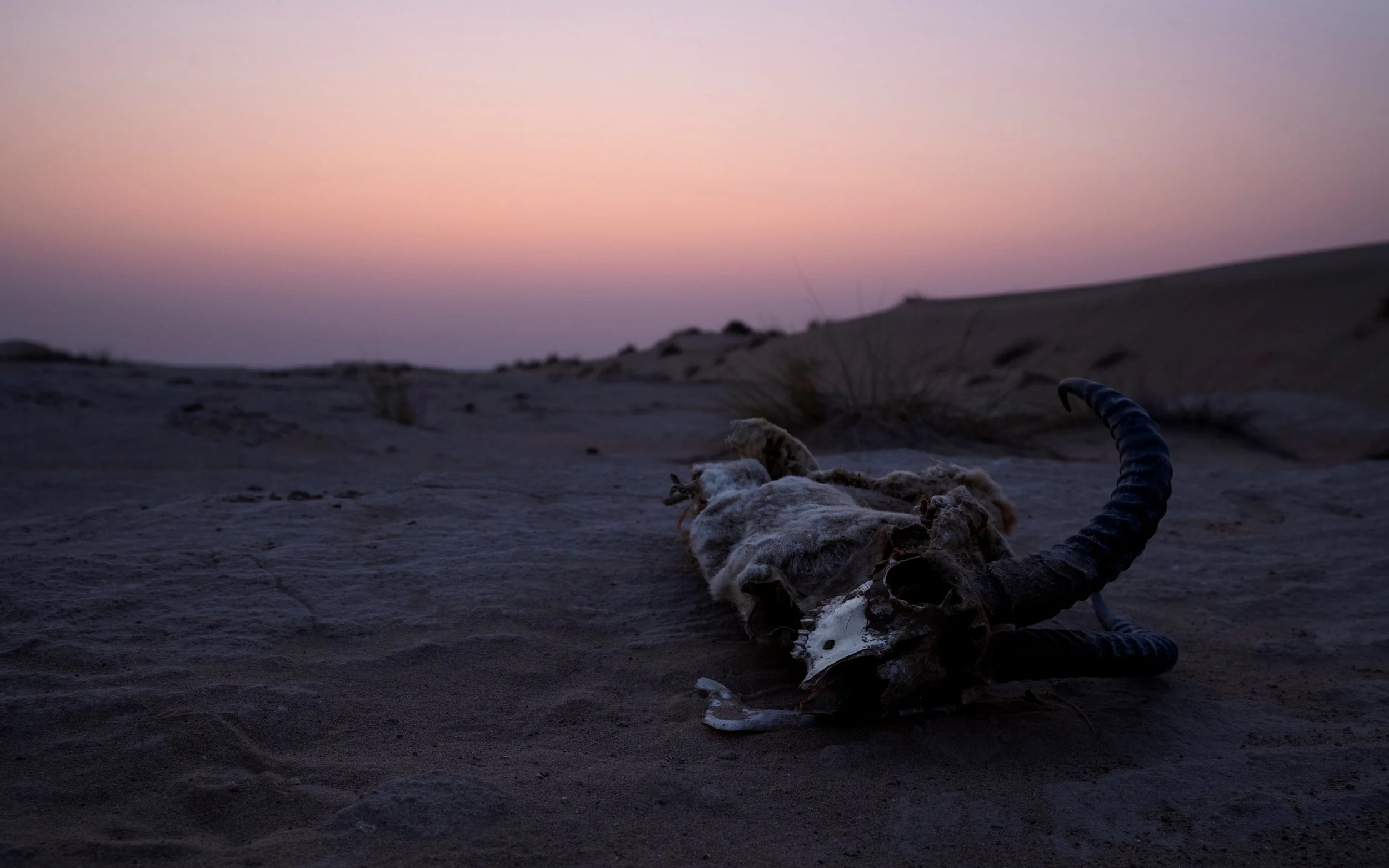 Unforgiving Landscapes