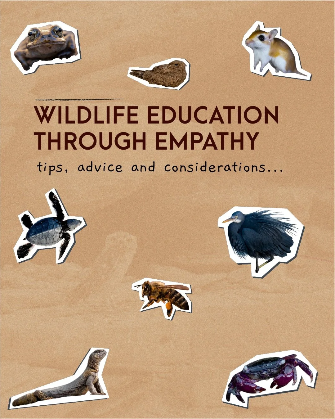 Wildlife Education Through Empathy