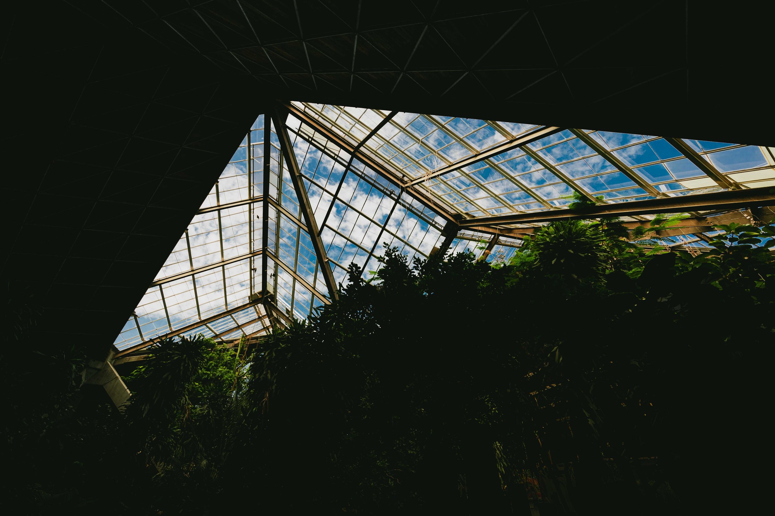 20230924, Toronto Zoo, Toronto - The massive skylight of the African Rainforest Pavilion