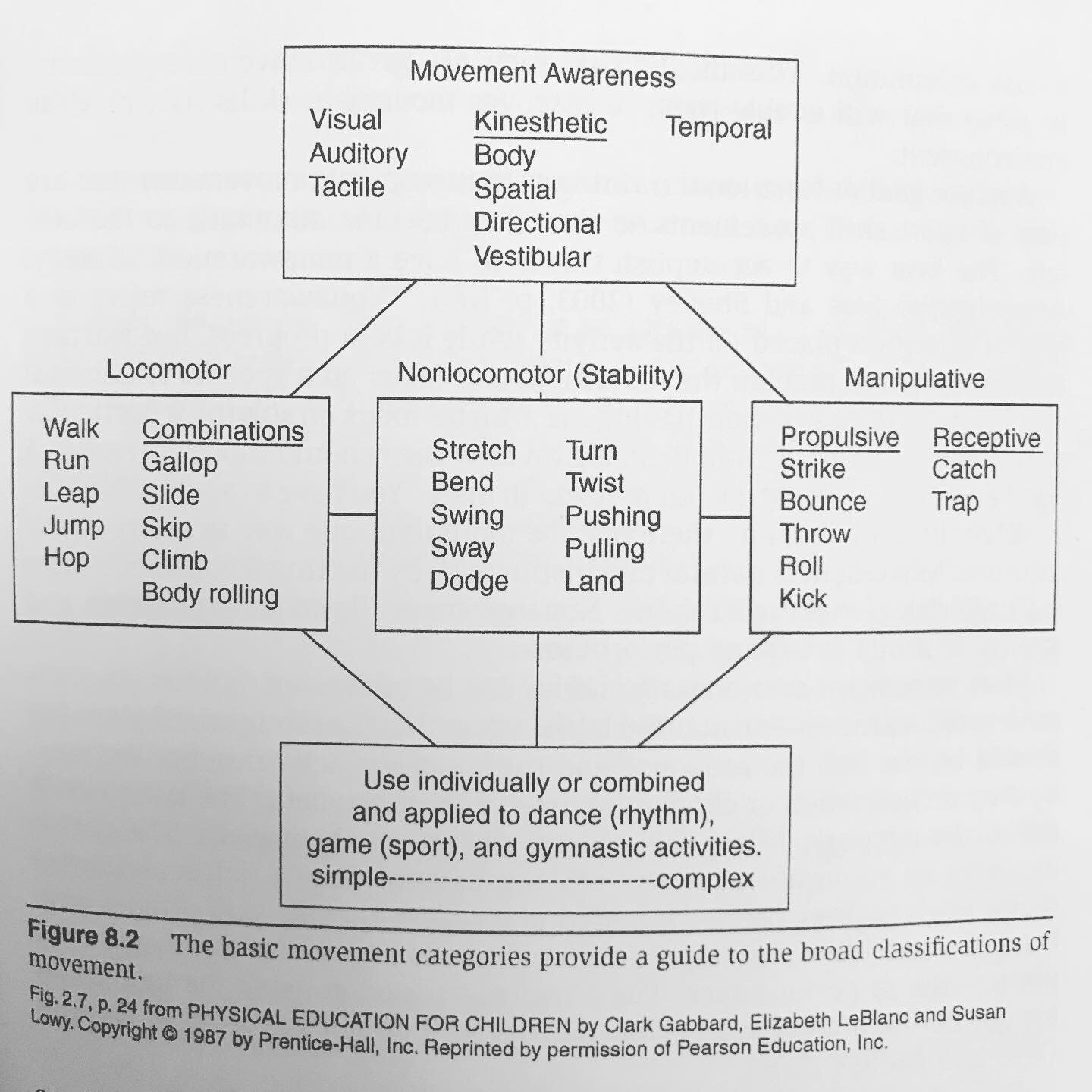 The basics are the basics and you can&rsquo;t beat the basics.

#movementperspective #movementawareness #athleticdevelopment #movementpractice #hybridmovementpractice
 #locomoto #verngambetta