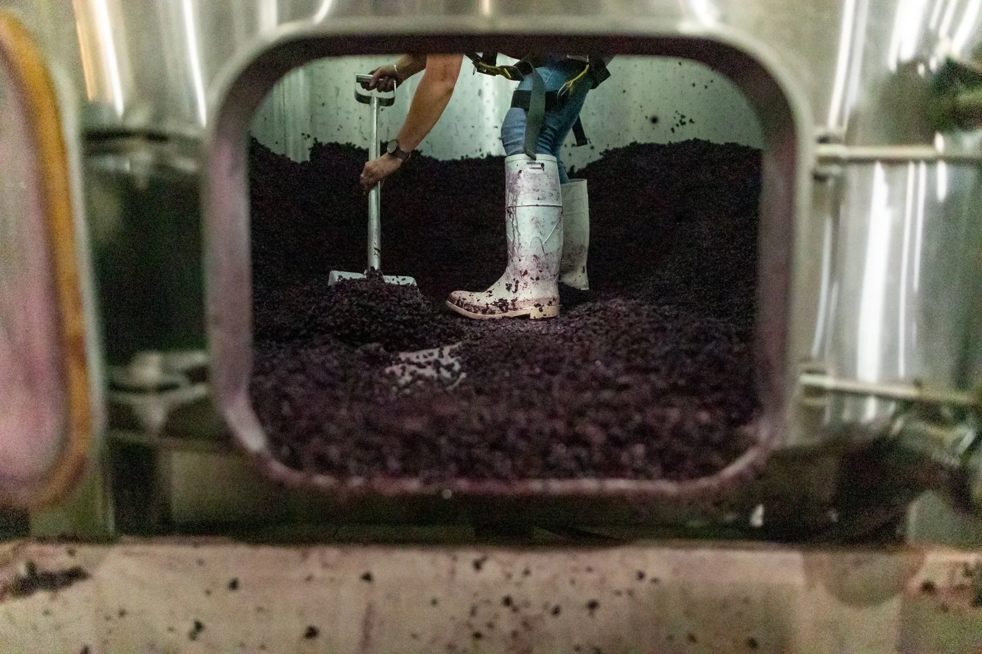 A winery worker digging out a fermentation tank during harvest.