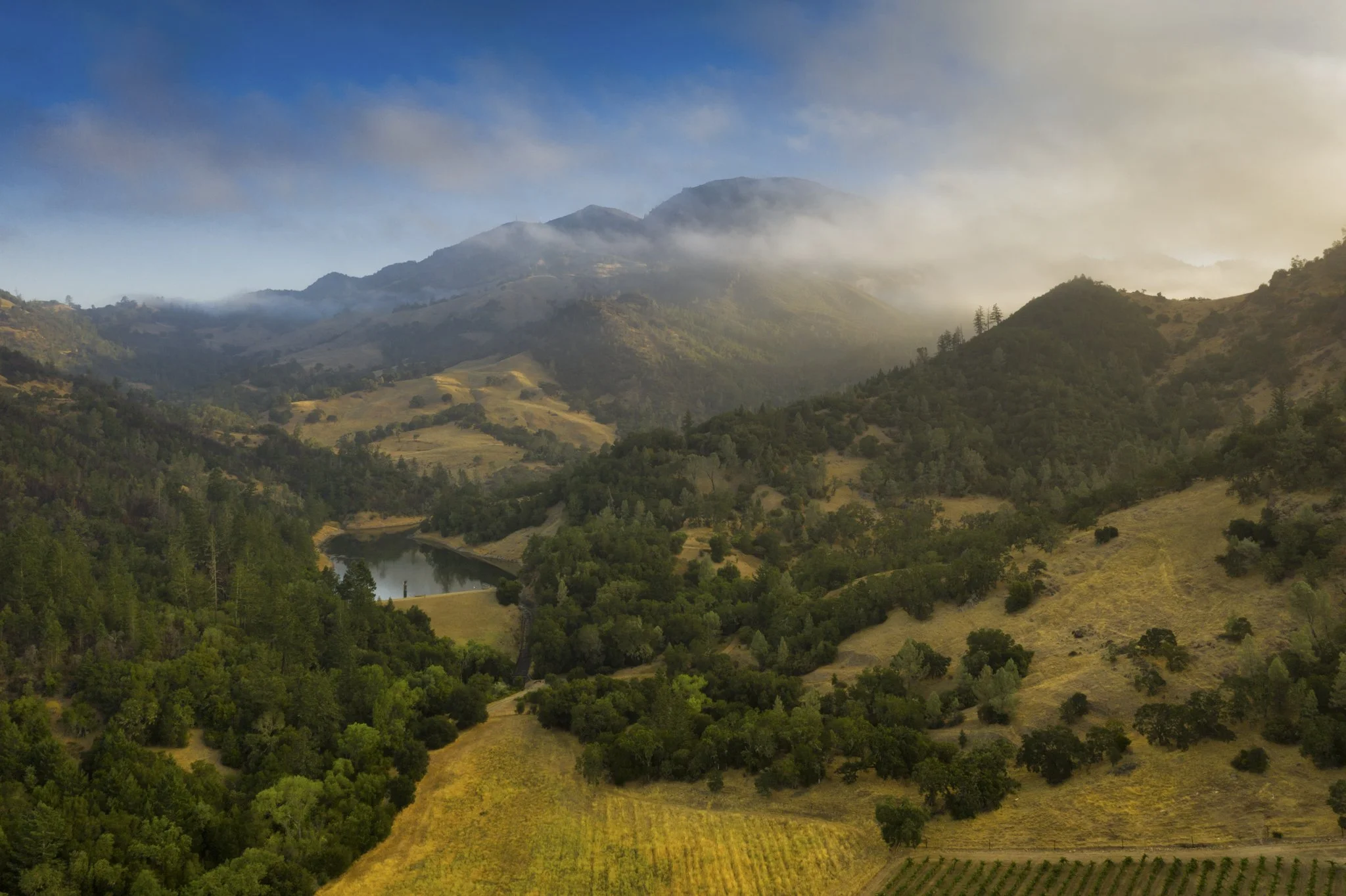 wildly simple productions_napa_sonoma_video_photo_038.jpg