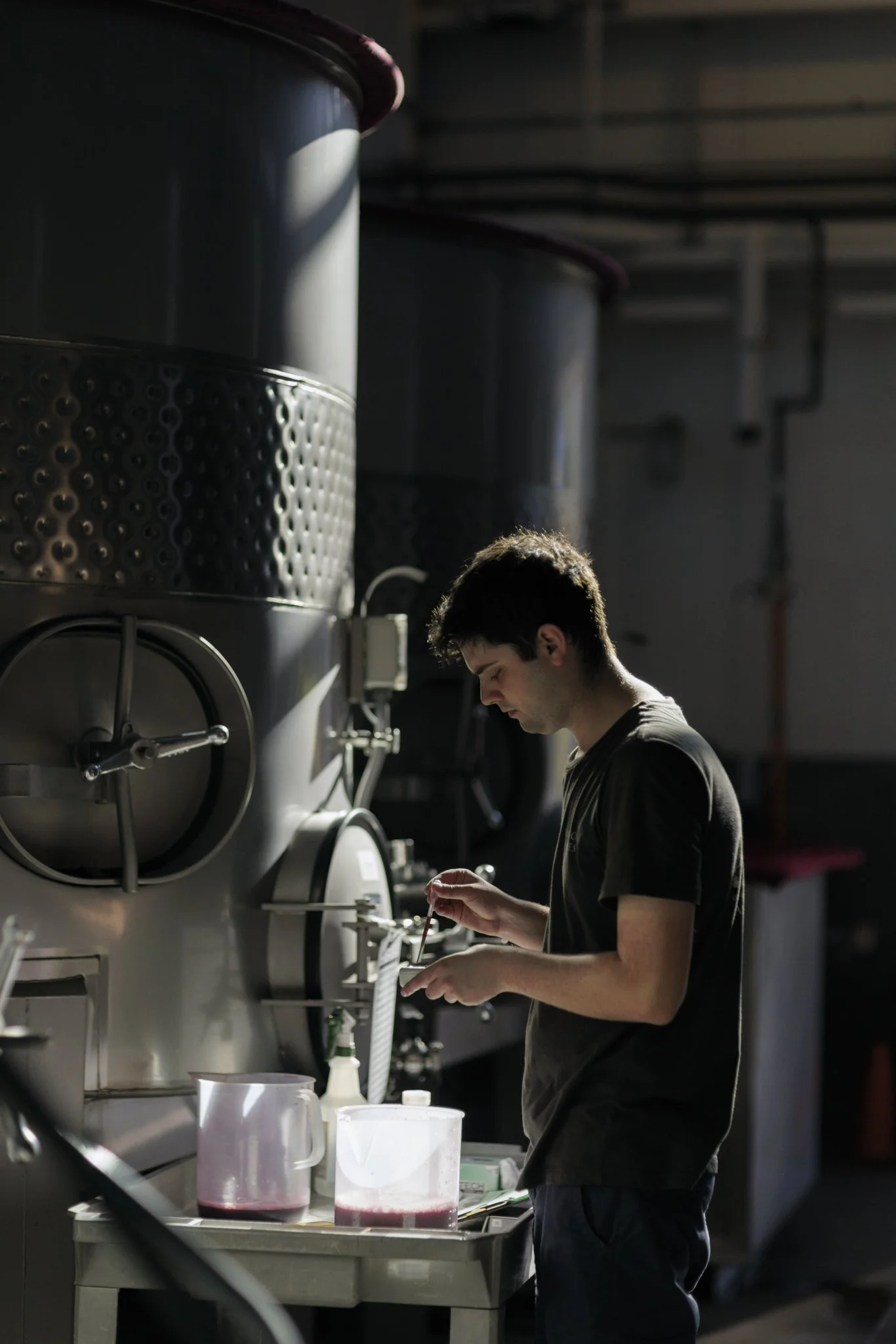wildly simple productions_napa_sonoma_video_photo_008.jpg