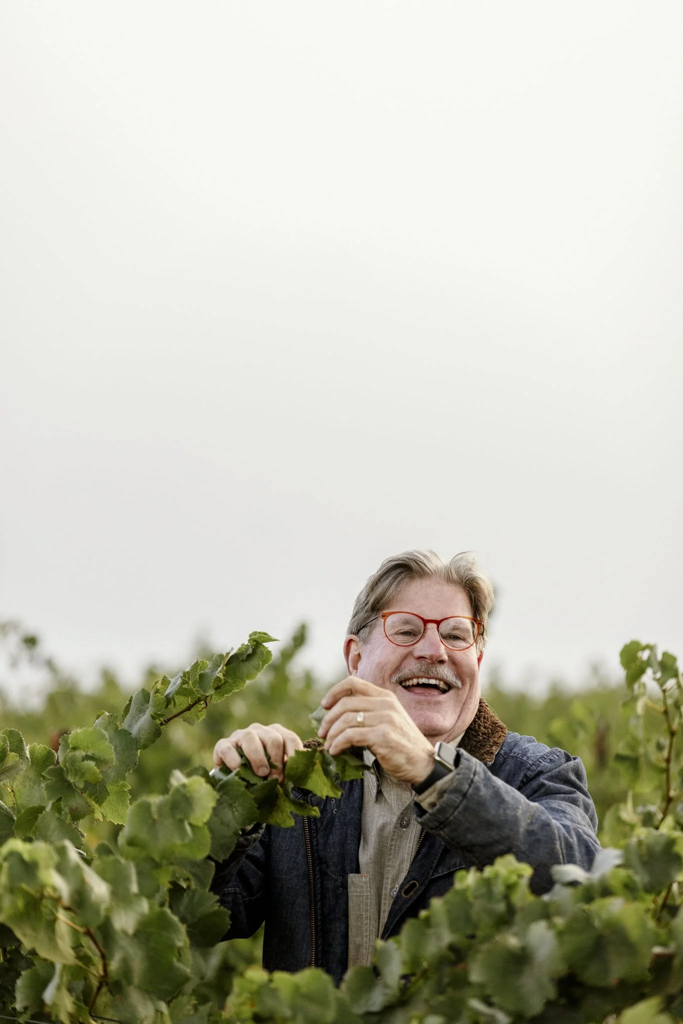 wildly simple productions_napa_sonoma_video_photo_046.jpg