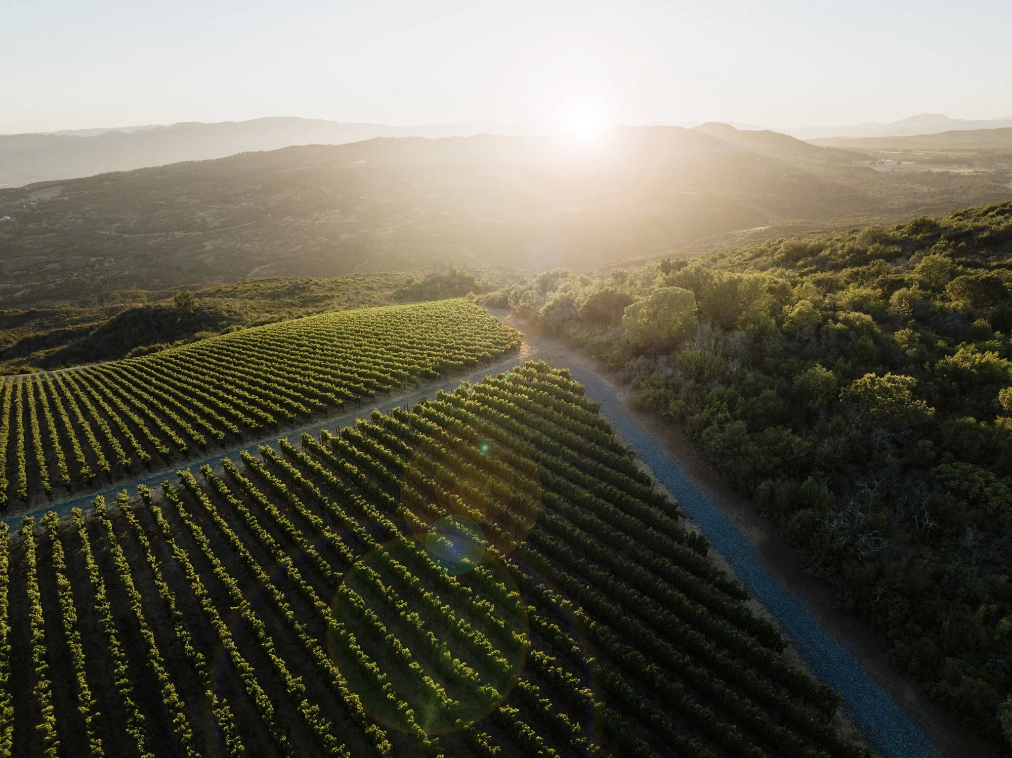 wildly simple productions_napa_sonoma_video_photo_051.jpg