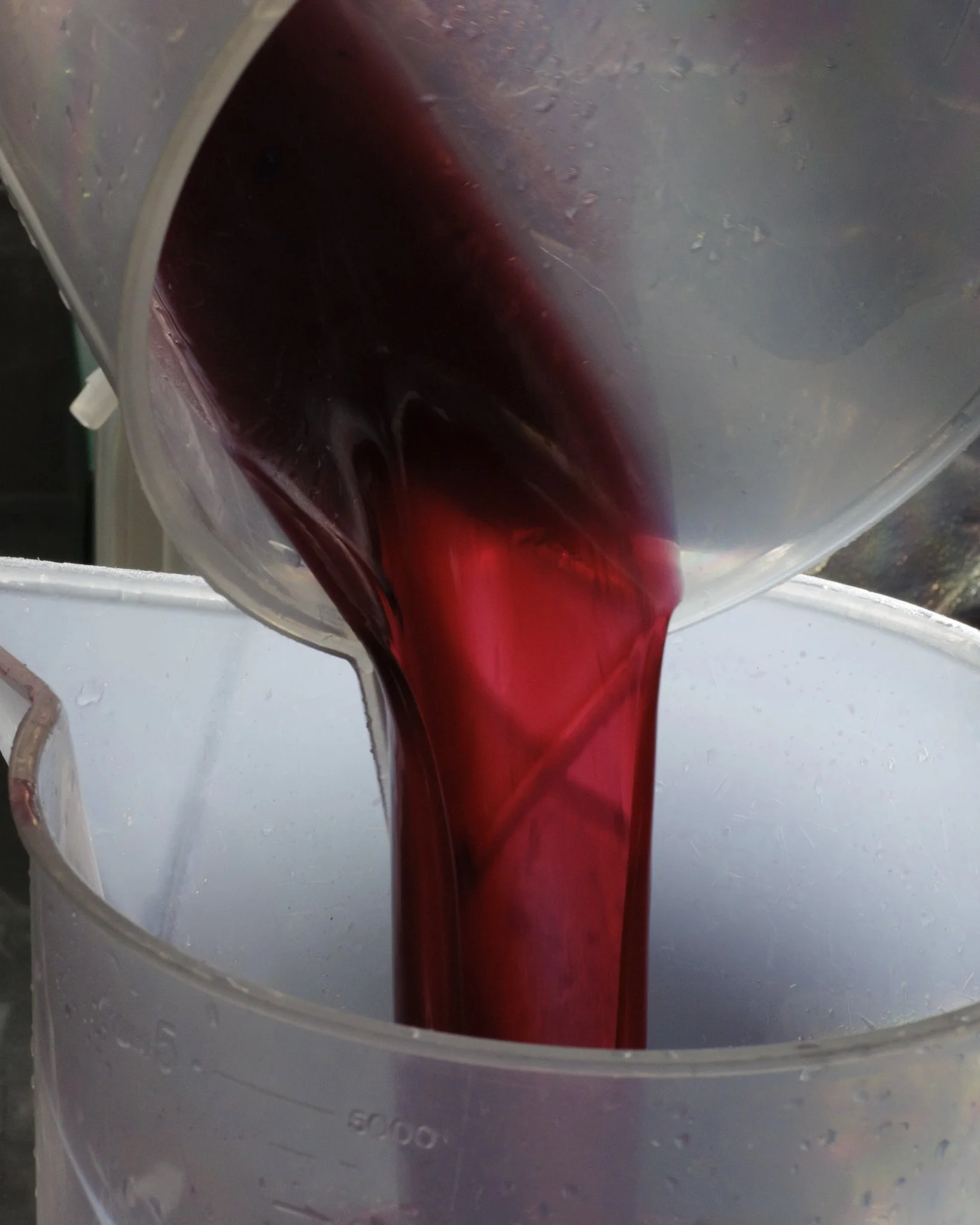 wildly simple productions_napa_sonoma_video_photo_044.jpg