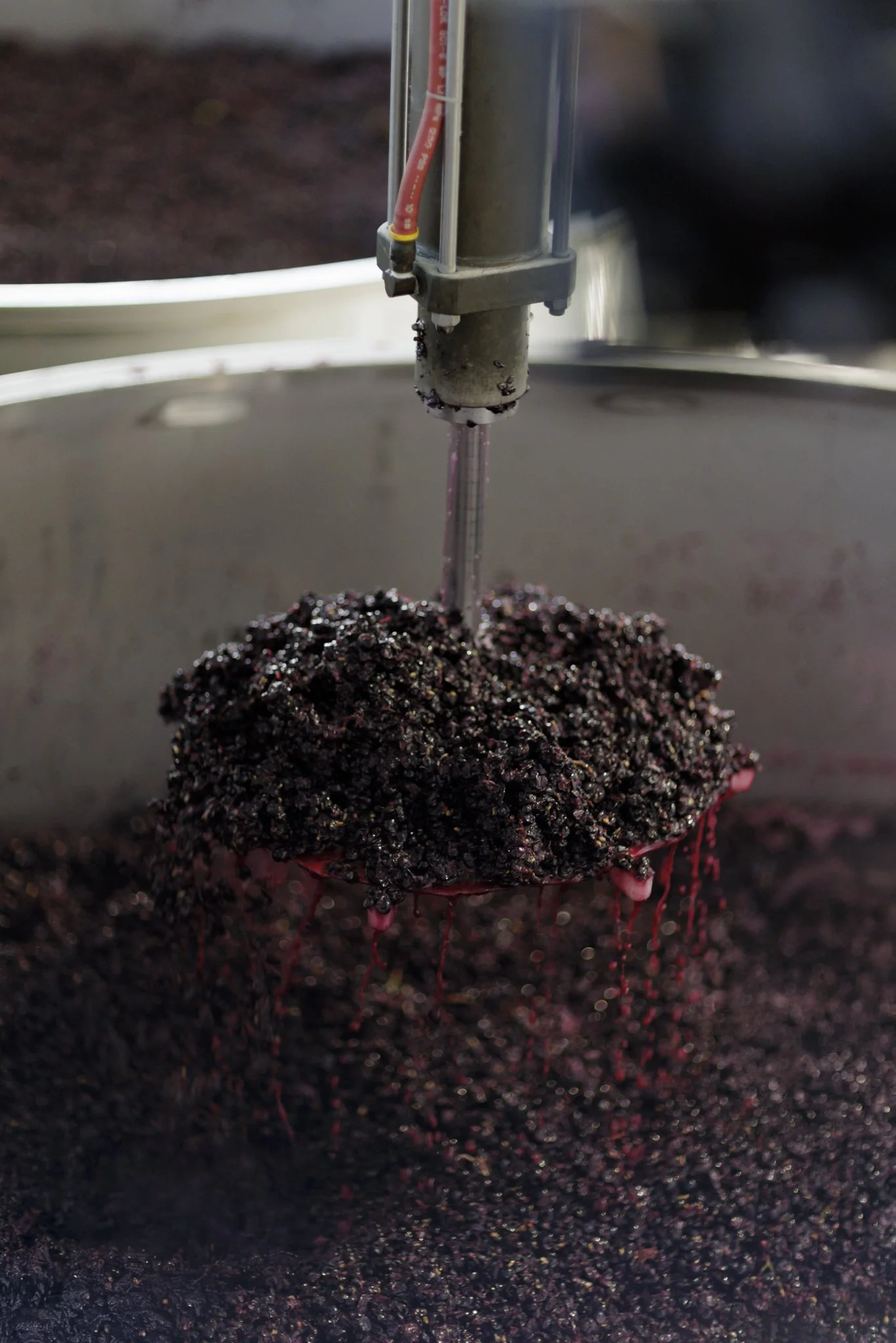 wildly simple productions_napa_sonoma_video_photo_043.jpg