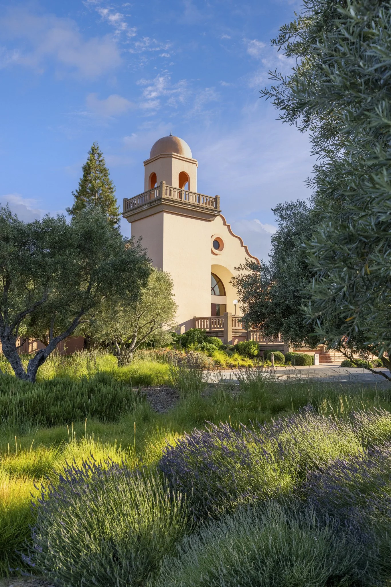 wildly simple productions_napa_sonoma_video_photo_019.jpg